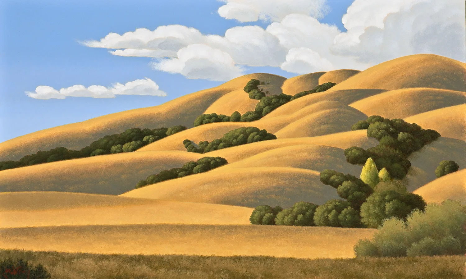 Rolling Summer Hills 20" x 34" Acrylic on canvas Private Collection