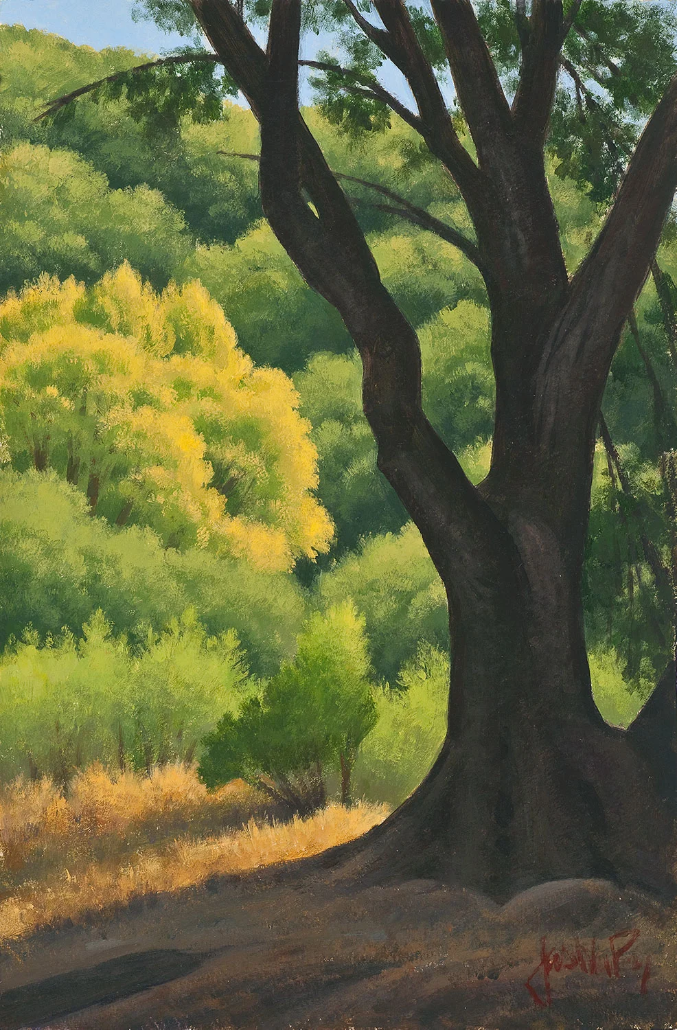 Shadows and Light 15” x 10” Acrylic on paper