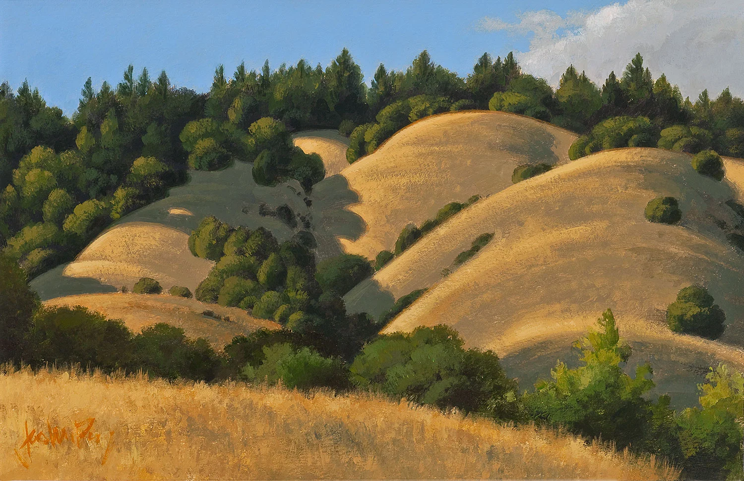 San Geronimo #2 9.5" x 14.5" Acrylic on paper Private Collection