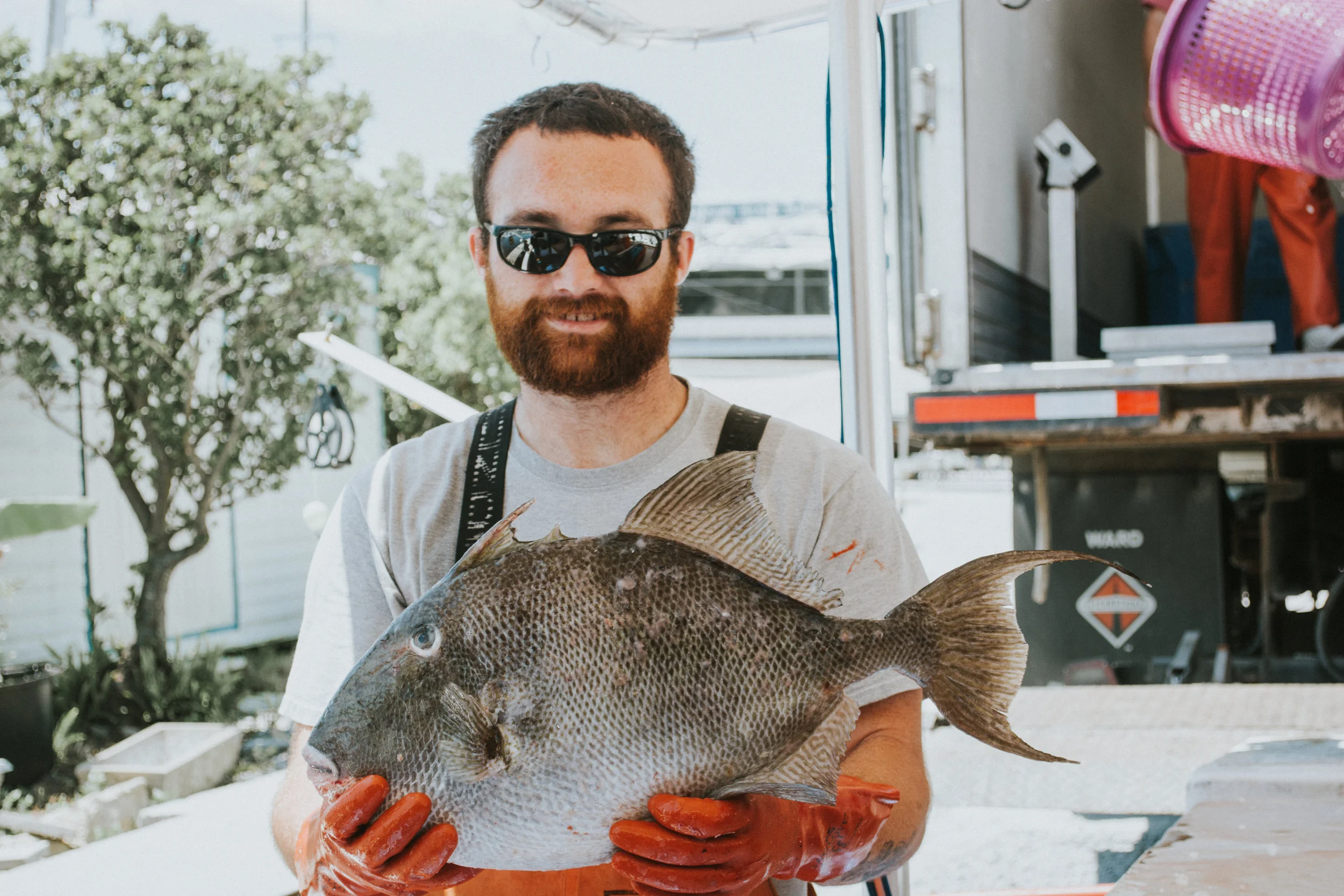 Panama-City-Beach-Charter-Fishing-Seawolf-Destin-Deep-Sea-Red-Snapper