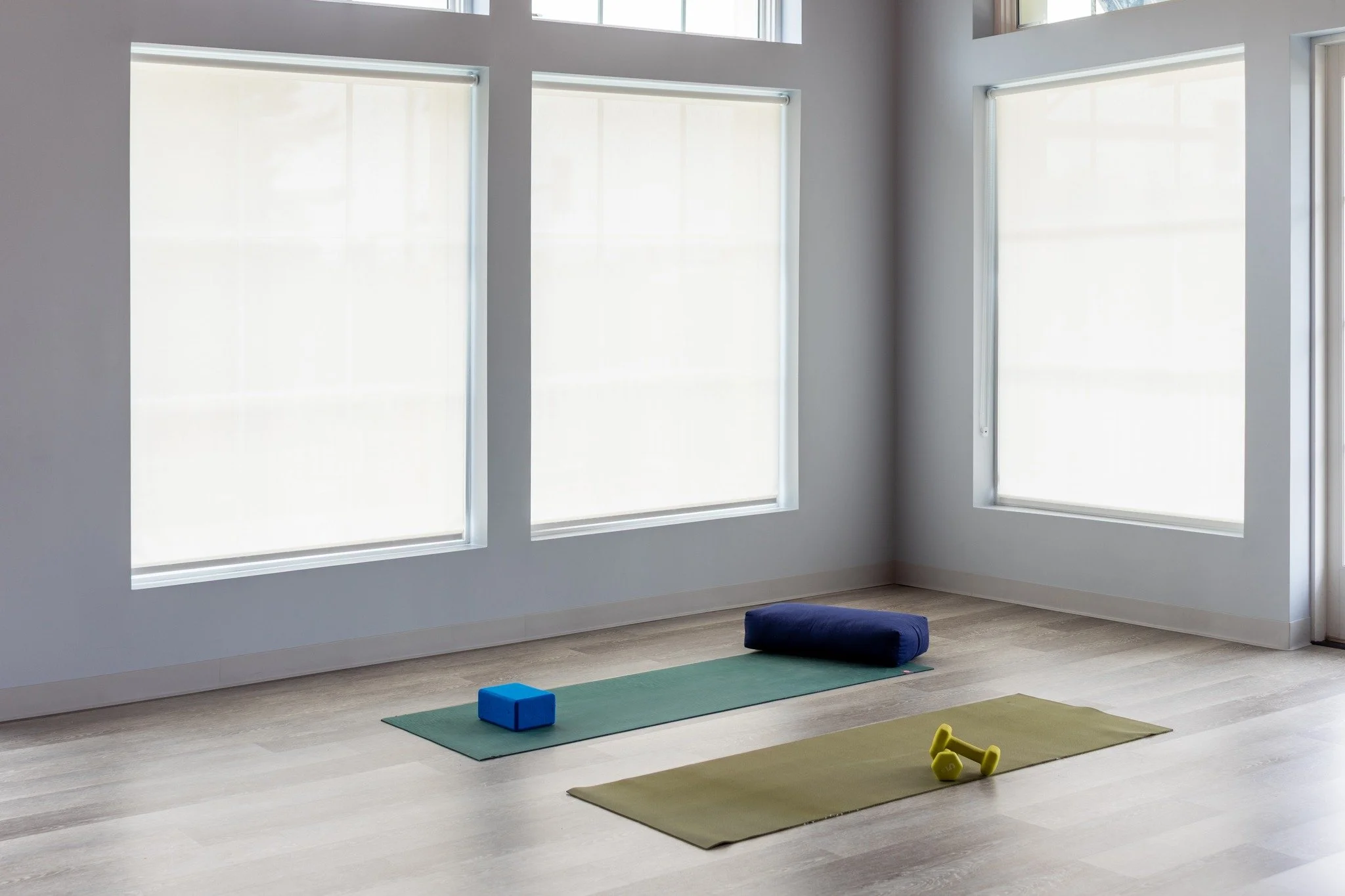 Go Yoga in Worthington Ohio_07.jpg