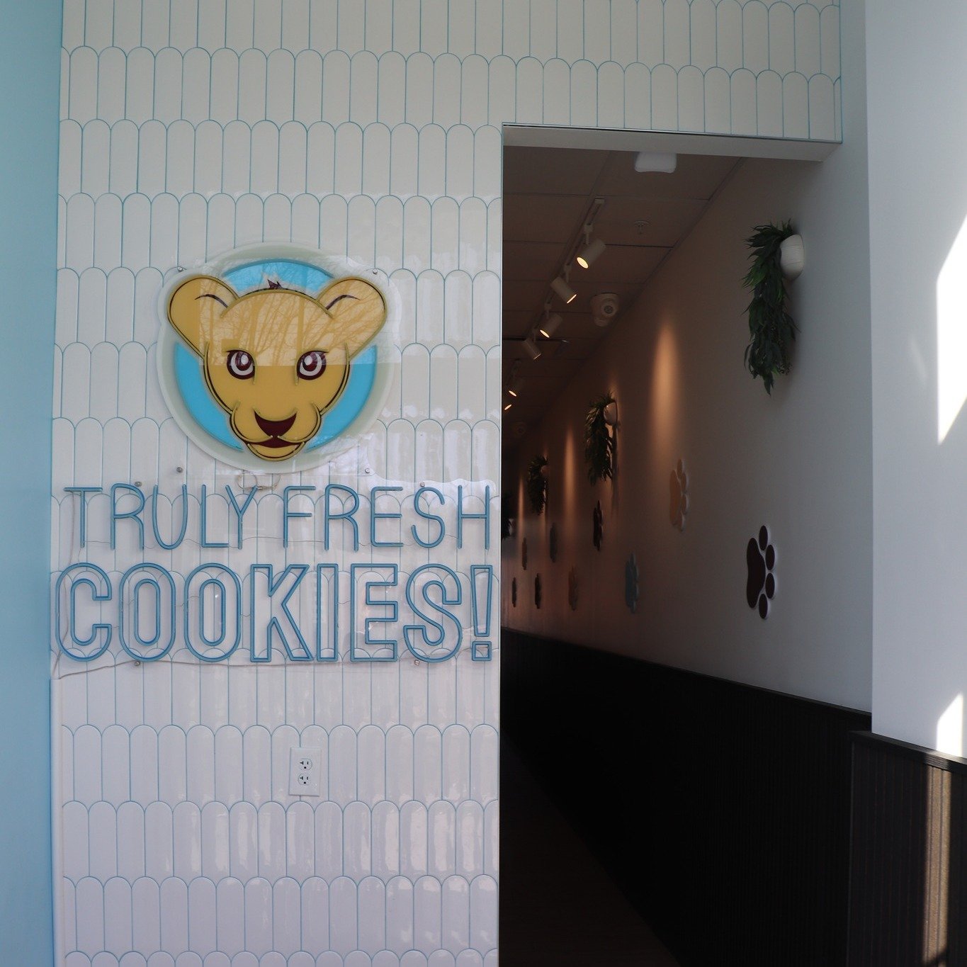 Lion Cub’s Cookies in Worthington Ohio_02.jpg