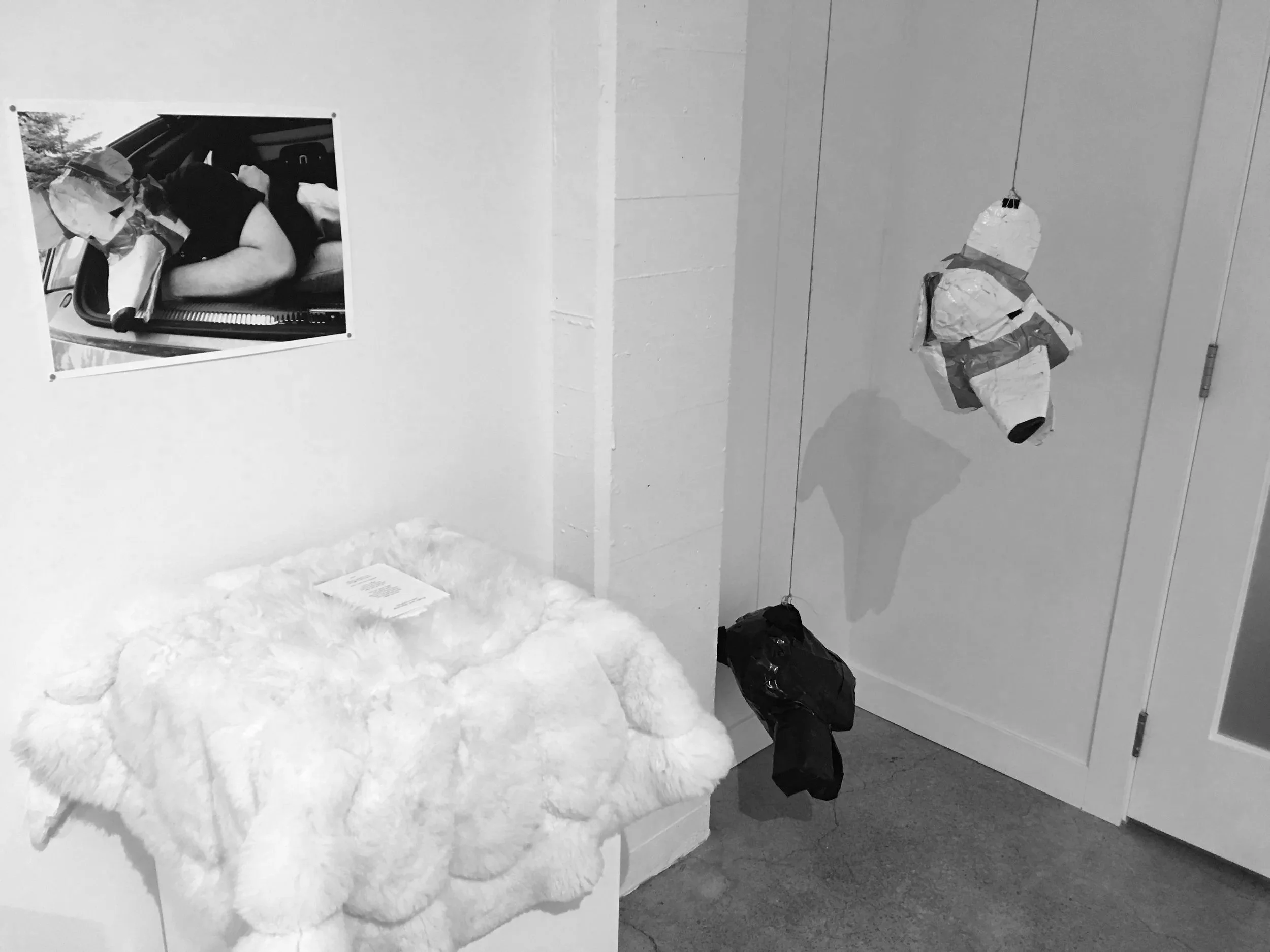   Curatorial  