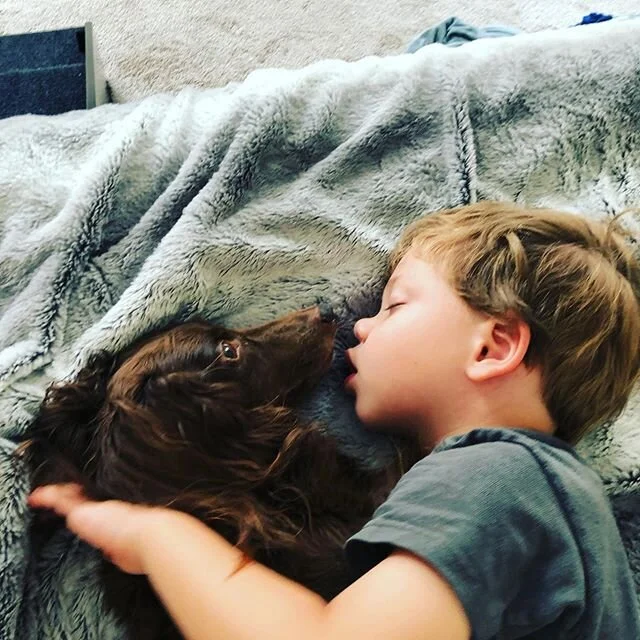 My pup is so sweet with this little human. 🐶

Oliver just wants to be with our pup all the time..... even in his sleep.

I am beyond blessed to have my family. 
They drive me crazy, and sometimes think I&rsquo;m the only adult in the house. 
But tru