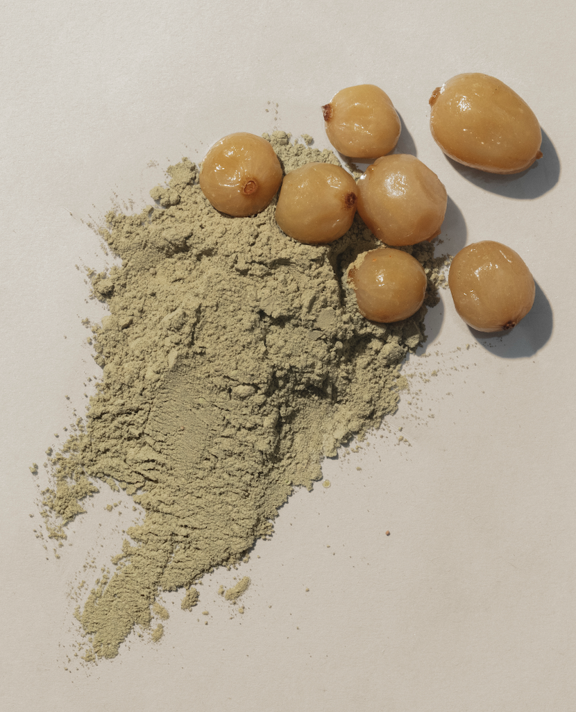 Screenshot 2026-01-29 at 4.24.04 PM.png