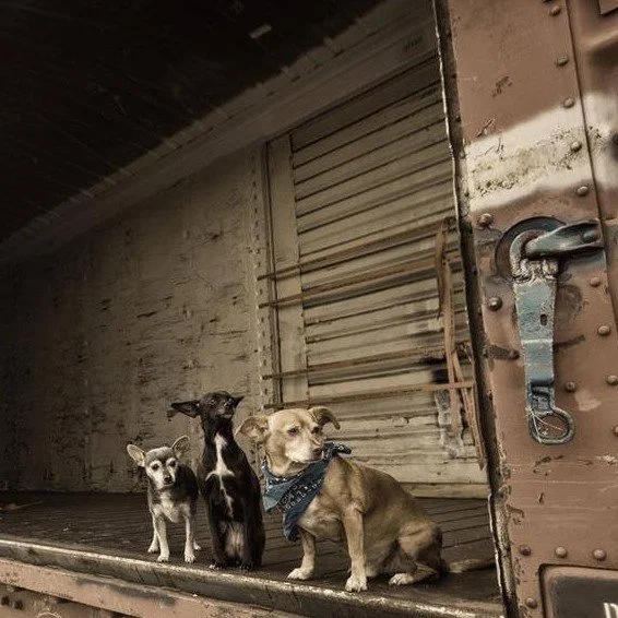 Hubie G from Lost Corner Vagabonds