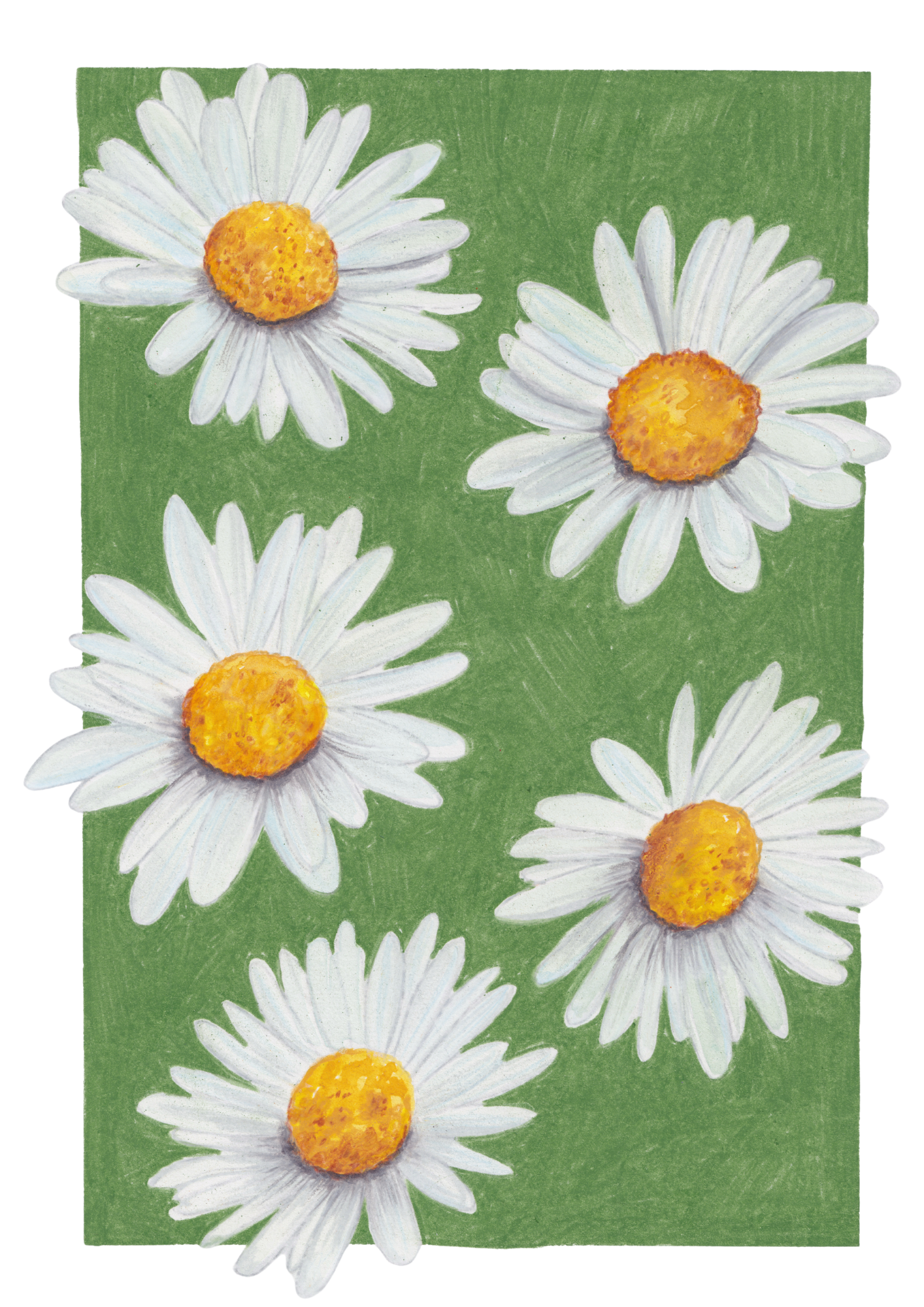 April birthday - daisies.png