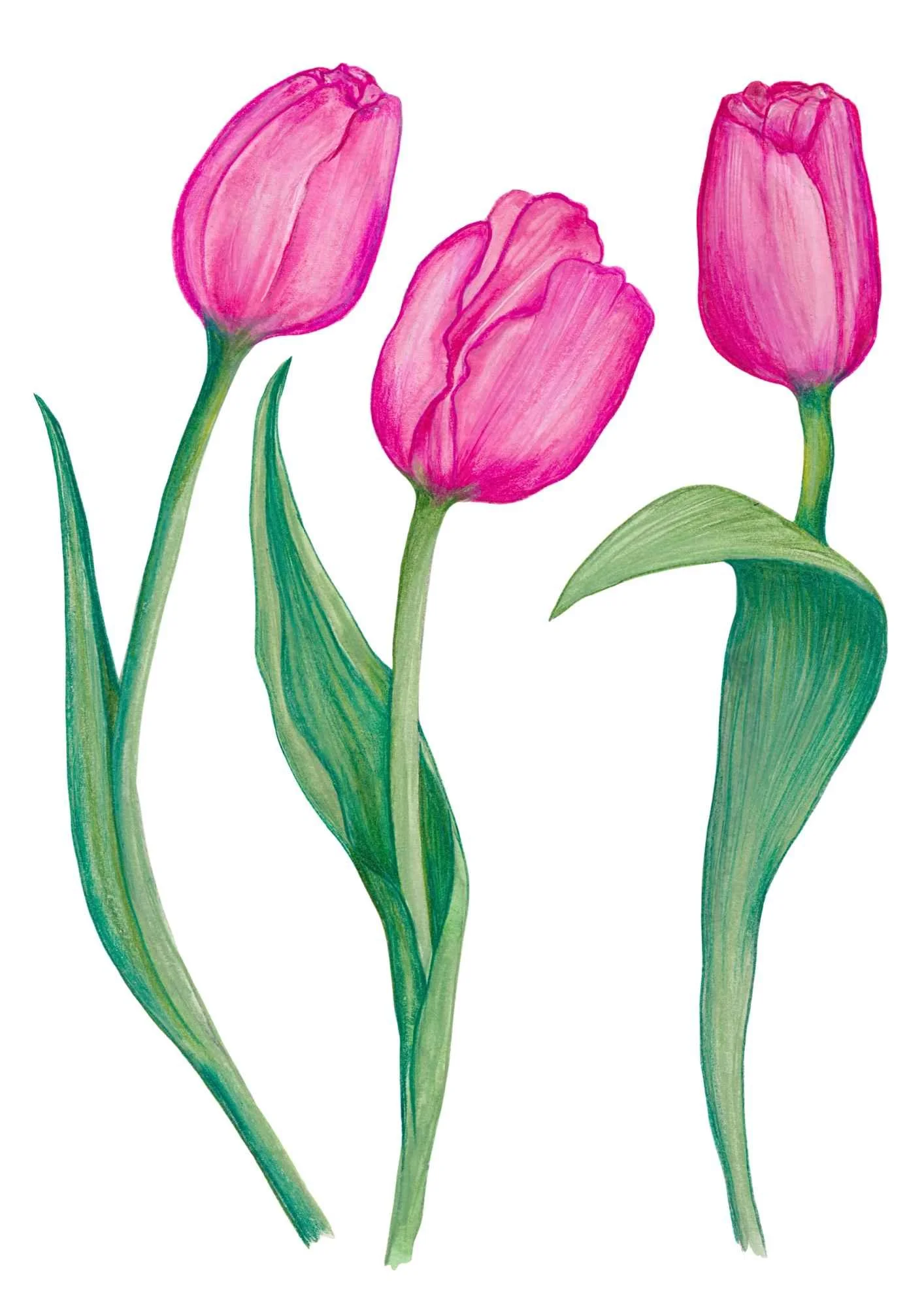 February Drawing Club - final.jpg