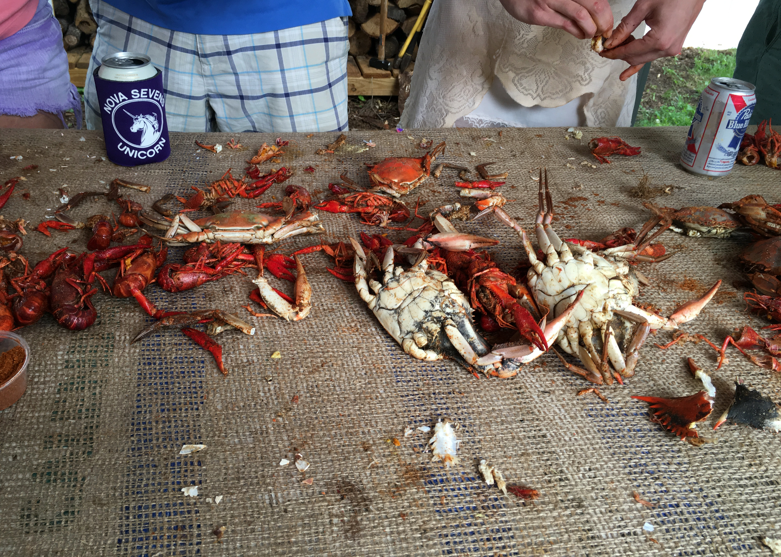 chesapeake crabs.png