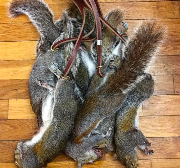squirrel hunting recipe.png