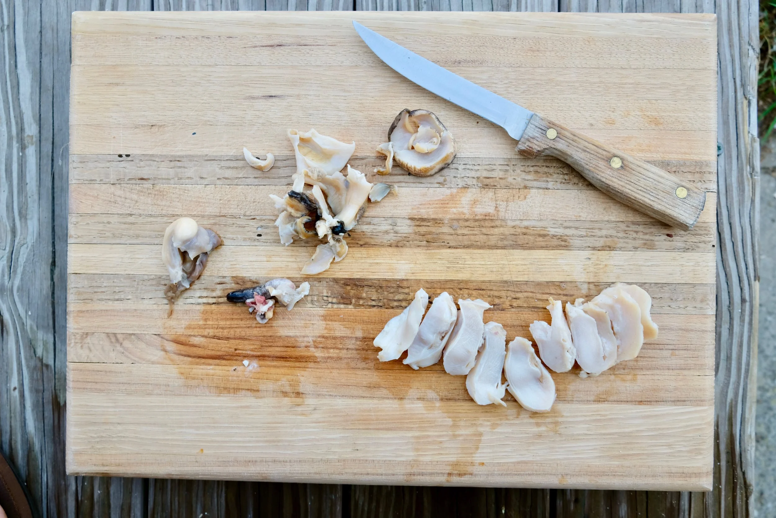 how to clean conch whelk.jpg
