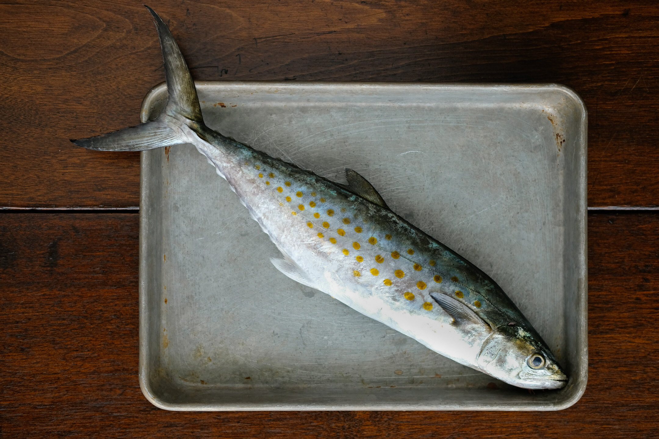 Spanish Mackerel Sashimi with Ginger, Lemon & Soy — Elevated Wild