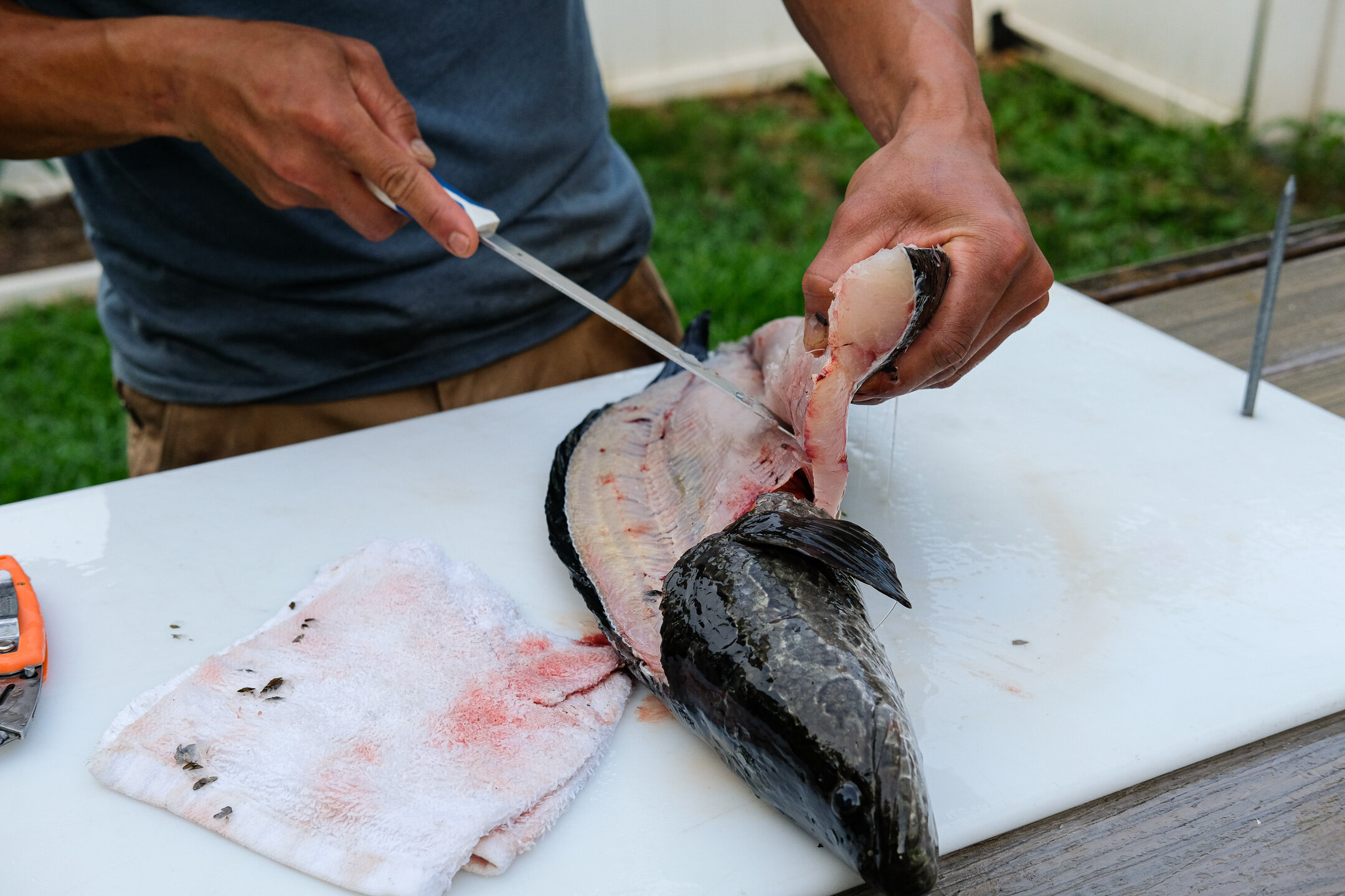 How to fillet a fish