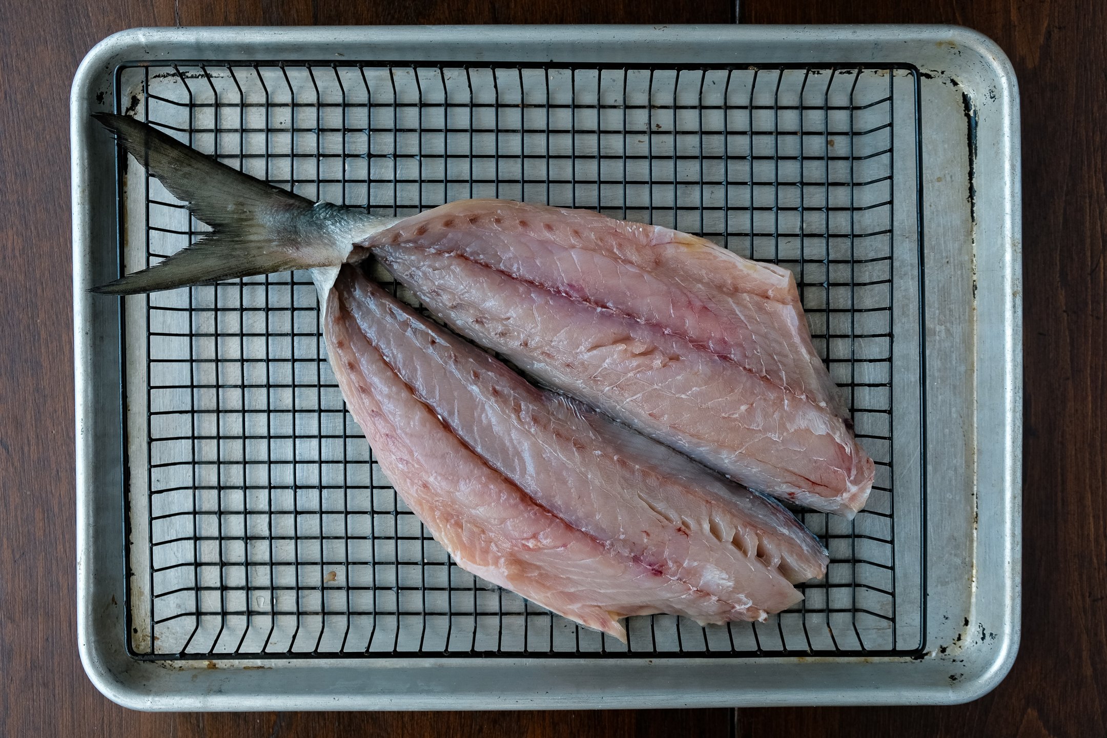 How to Eat a Bluefish — Elevated Wild