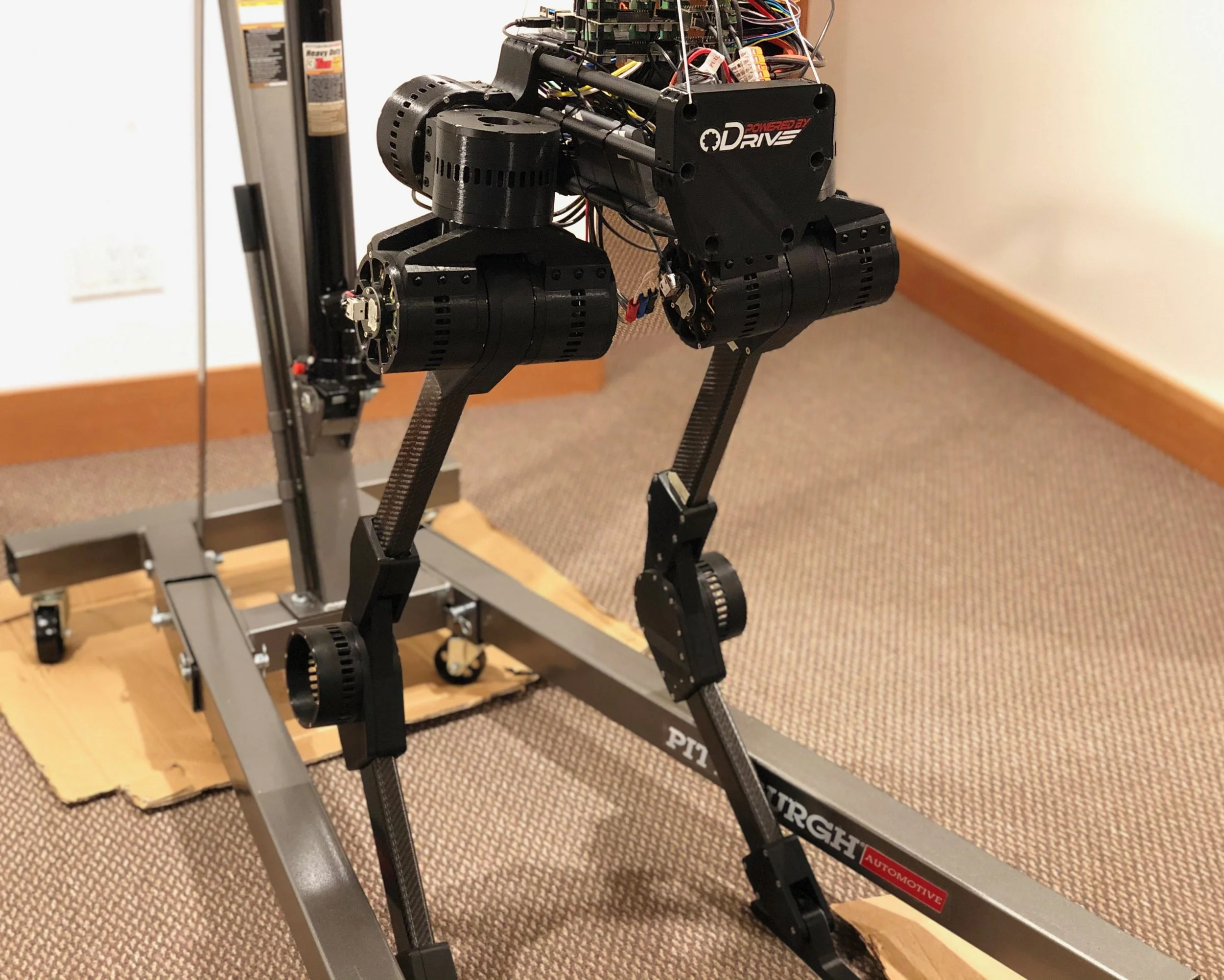 IMG_2858 22-55-43-685.jpeg