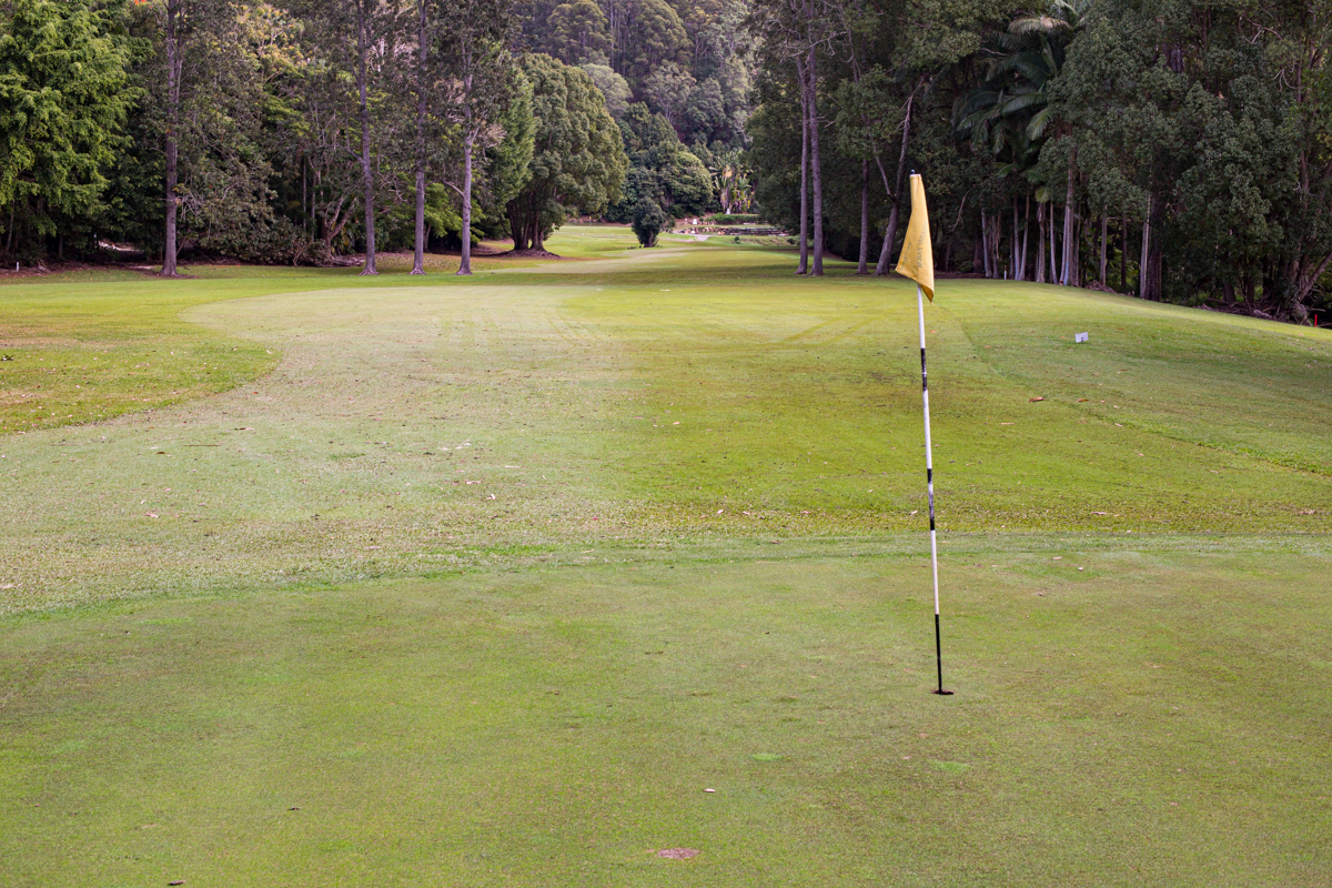 Looking back from the 9th green