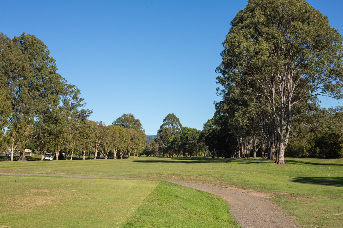 The first hole through the avenue of tall trees