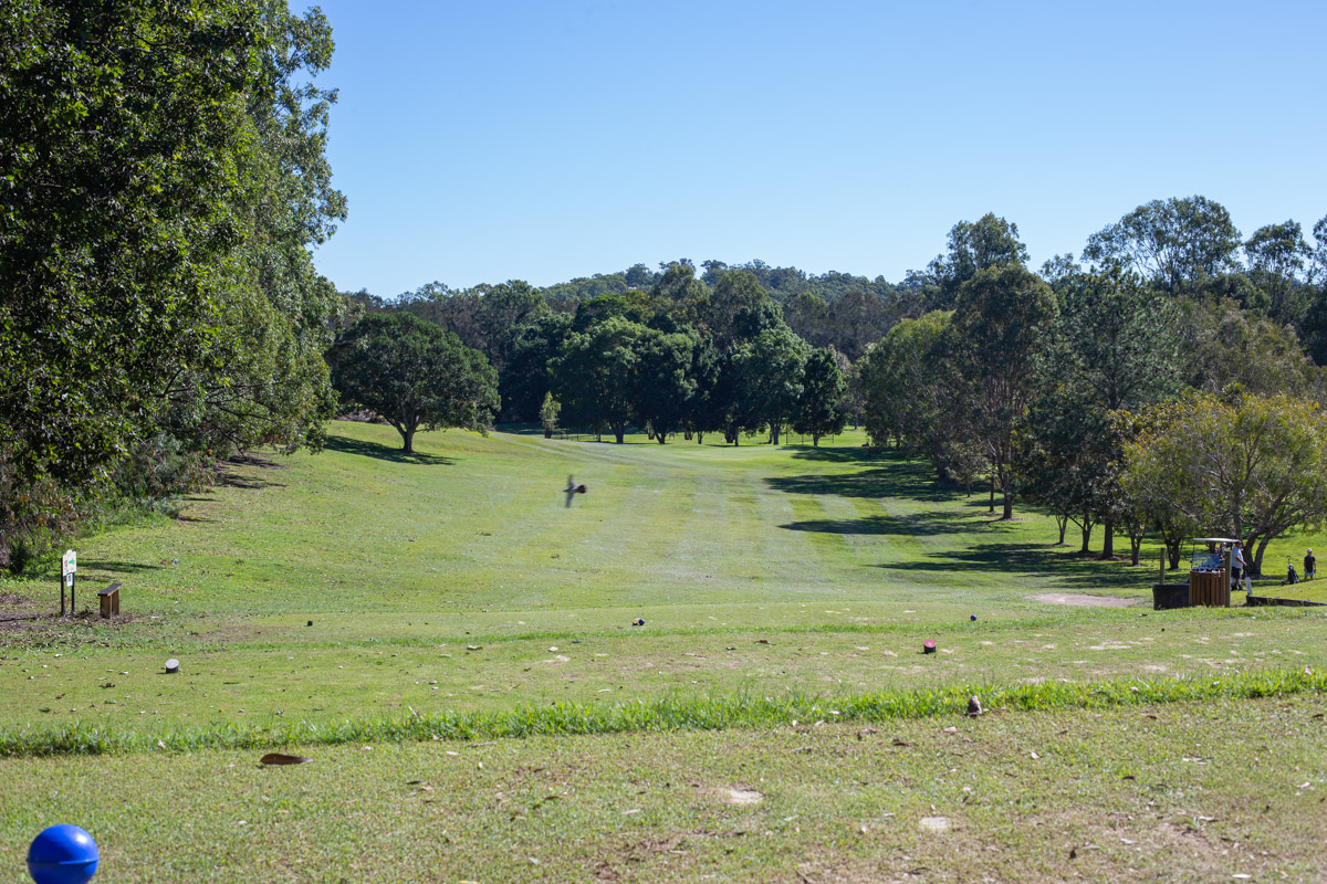 An elevated tee position down to the 4th green just under 200 metres away