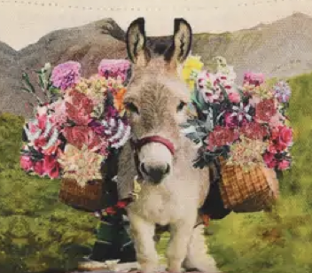 Screenshot 2024-11-19 at 9.58.49 AM.png