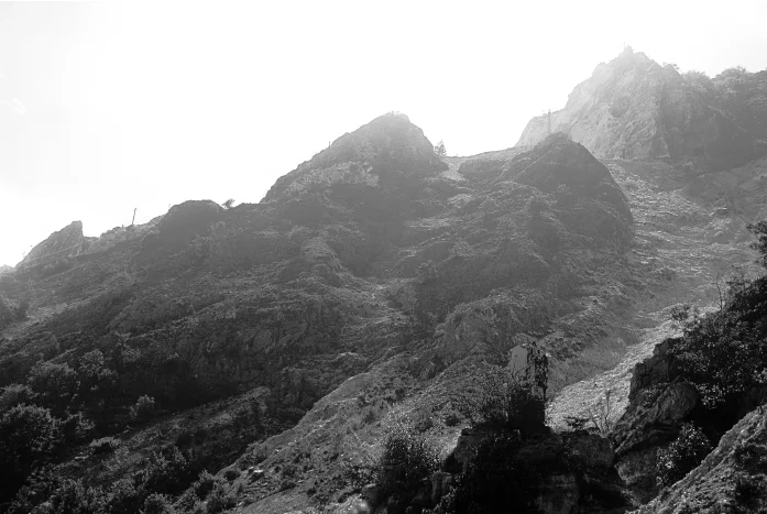 carrara_01.jpg