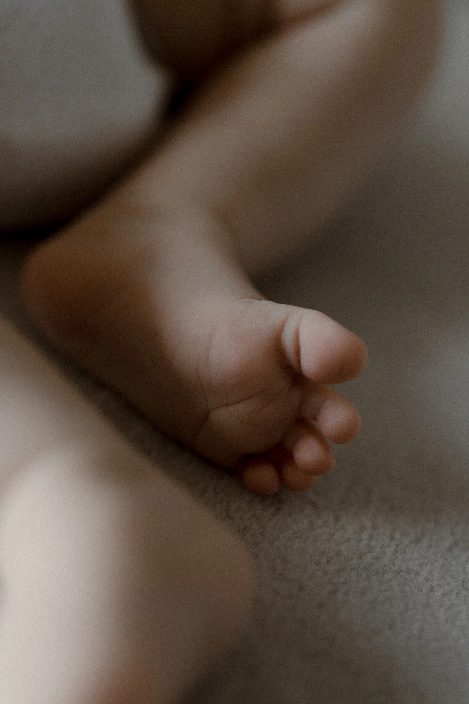 newborn rosalie-3.jpg