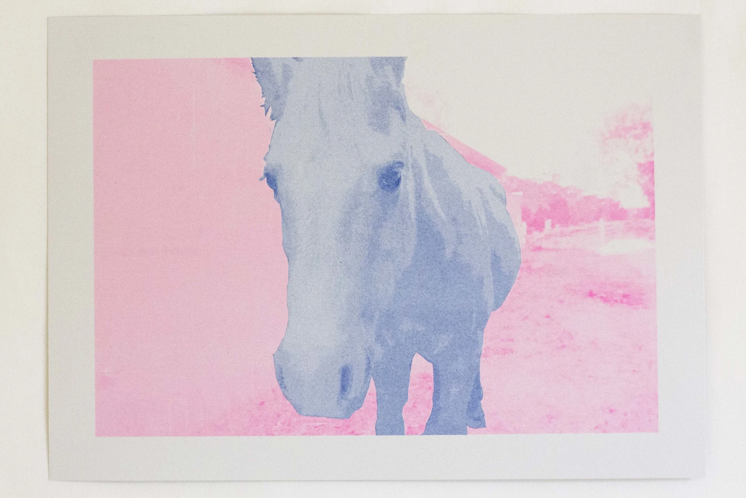 Fred , 2019. A3 risograph print.