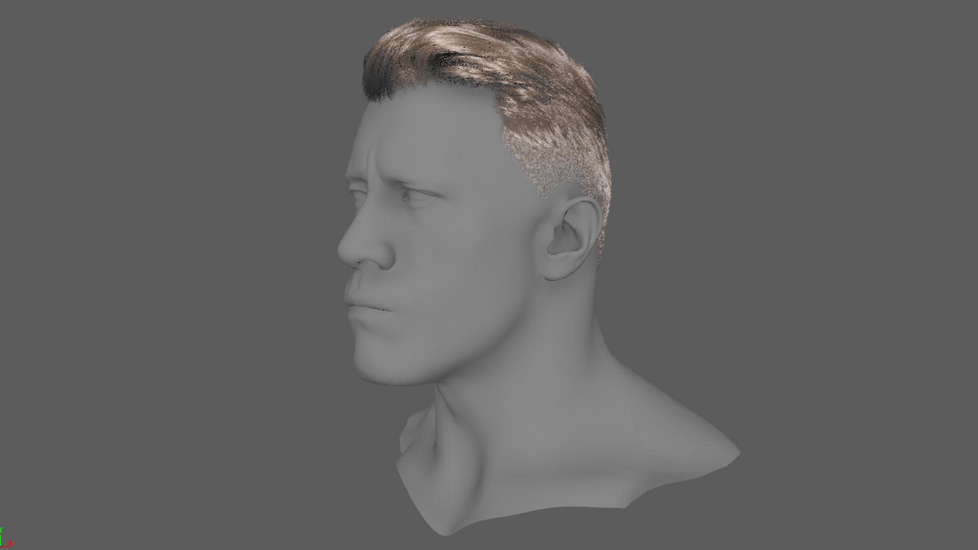 Advanced Grooming Practice - Short Hair (2025)