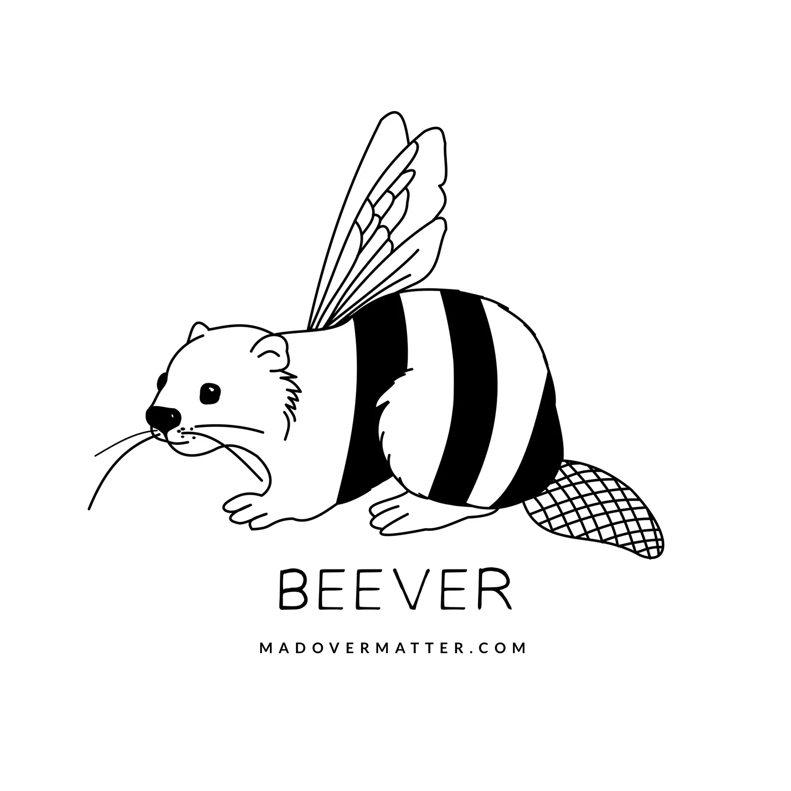 Beever.jpg