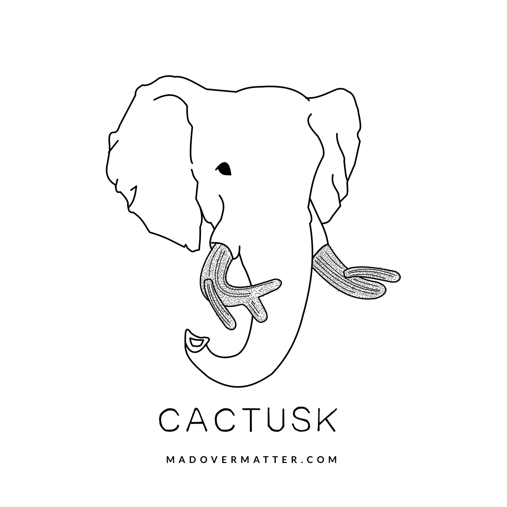 Cactusk.jpg