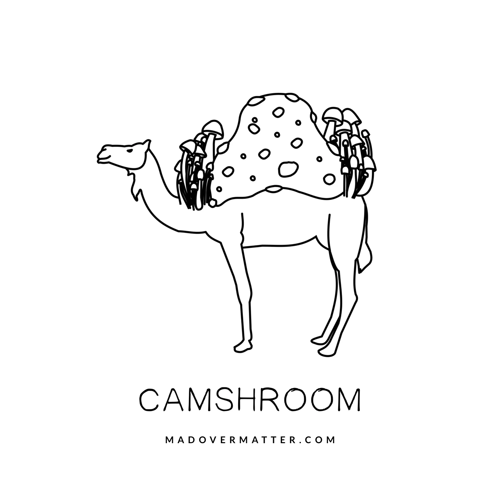 Camshroom.jpg