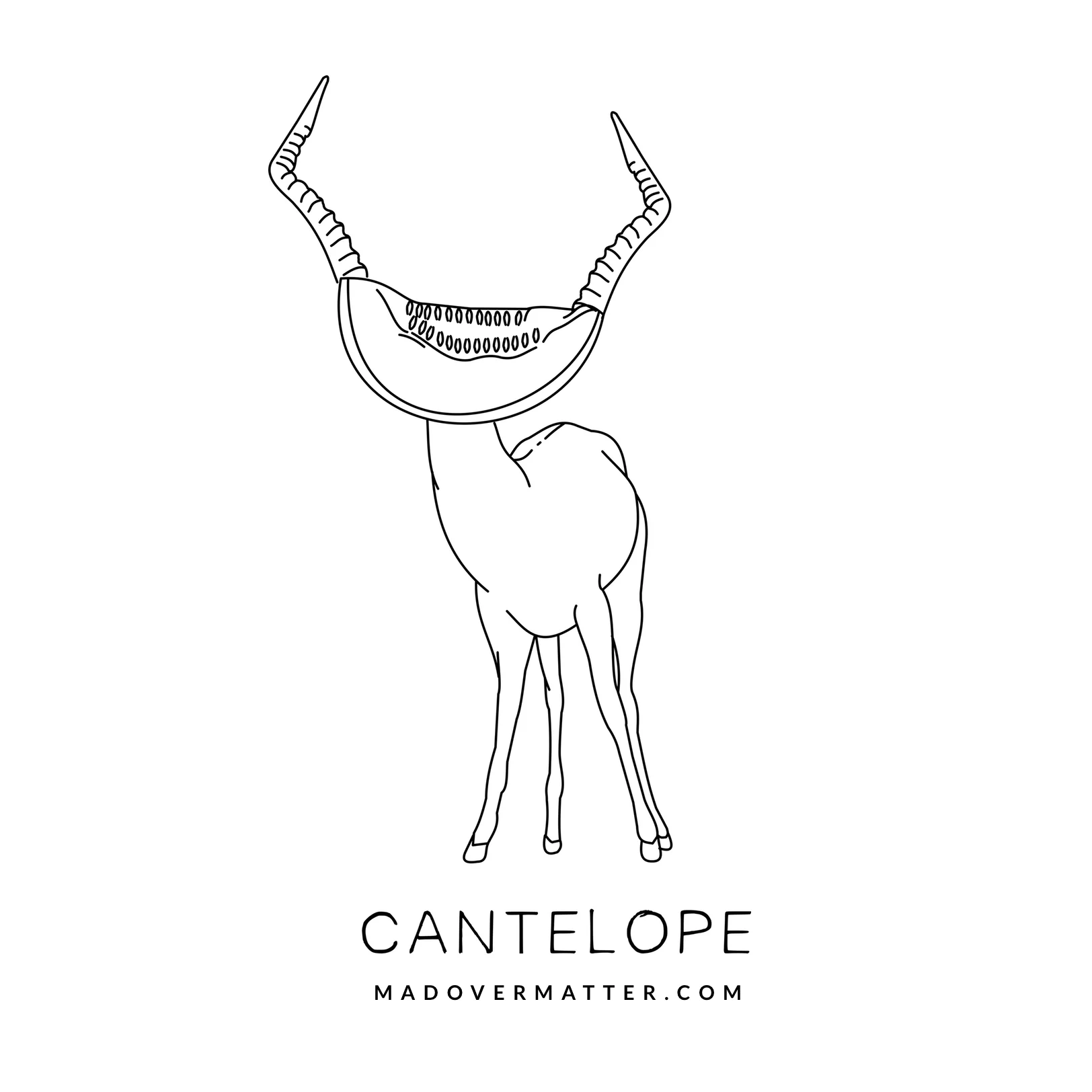 Cantelope.jpg