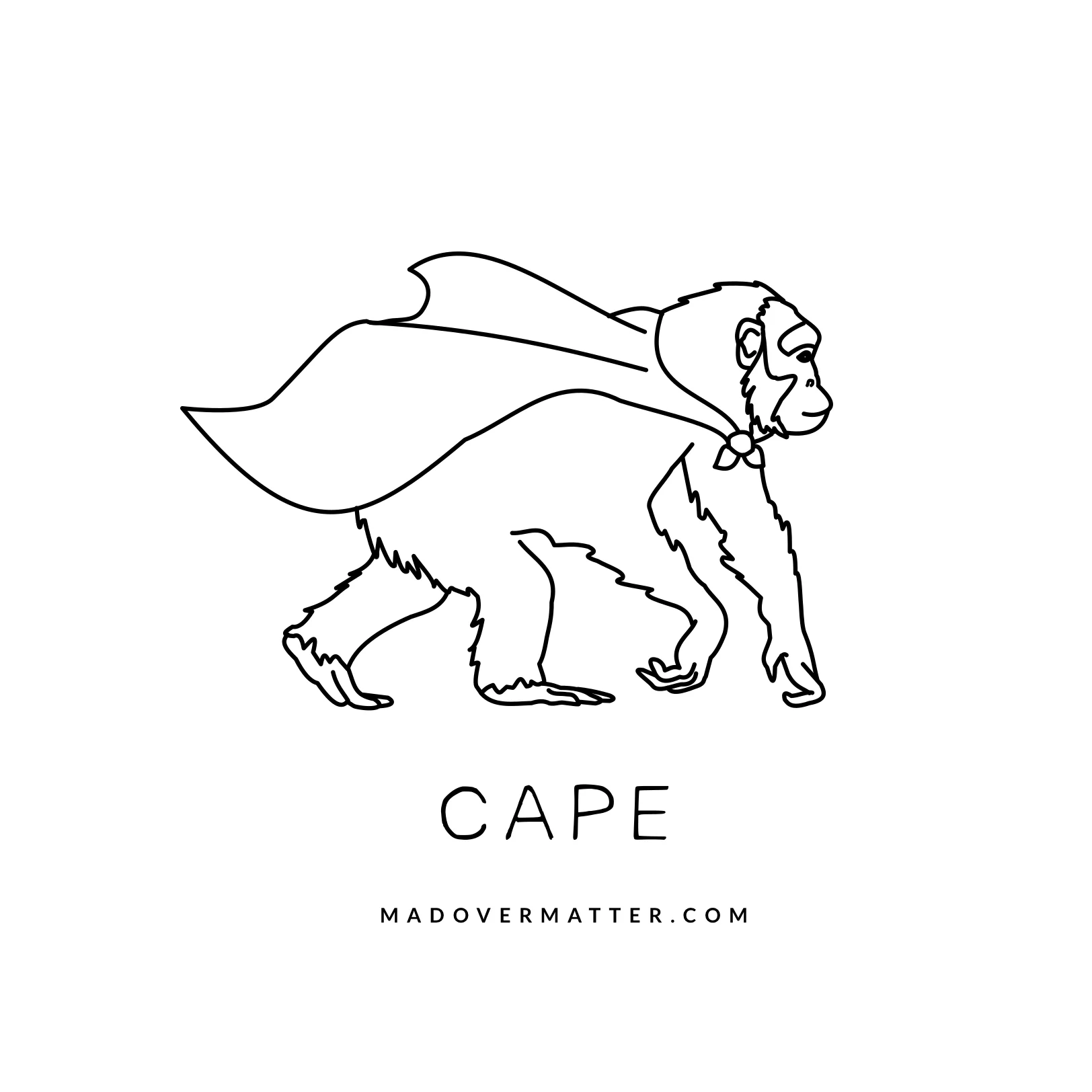 Cape.jpg