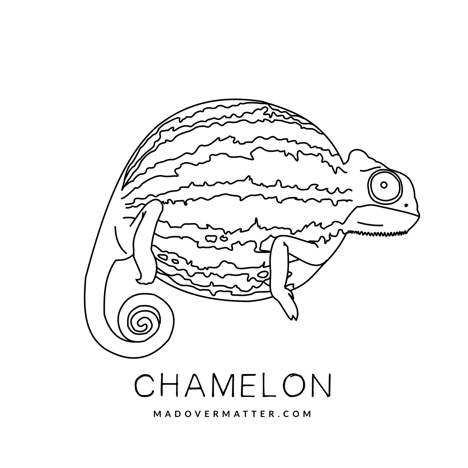 Chamelon.jpg