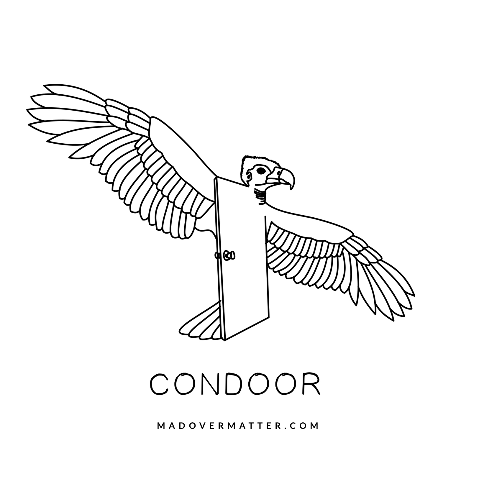 Condoor.jpg