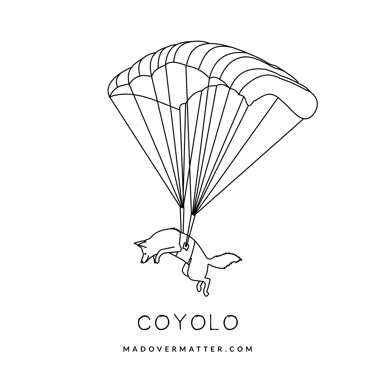 Coyolo.jpg