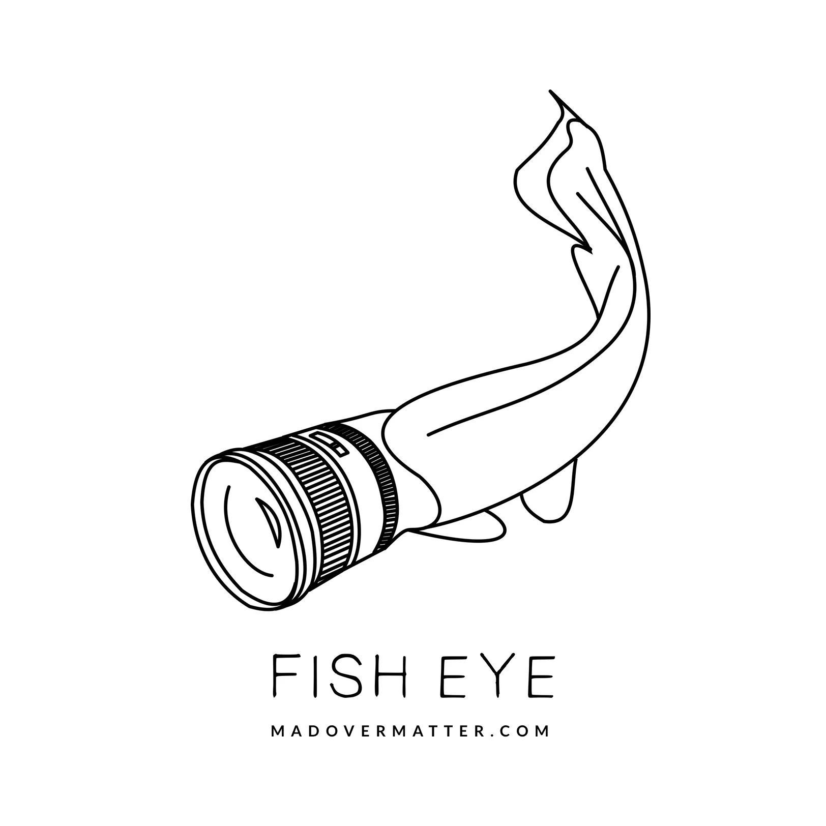 Fish eye.jpg
