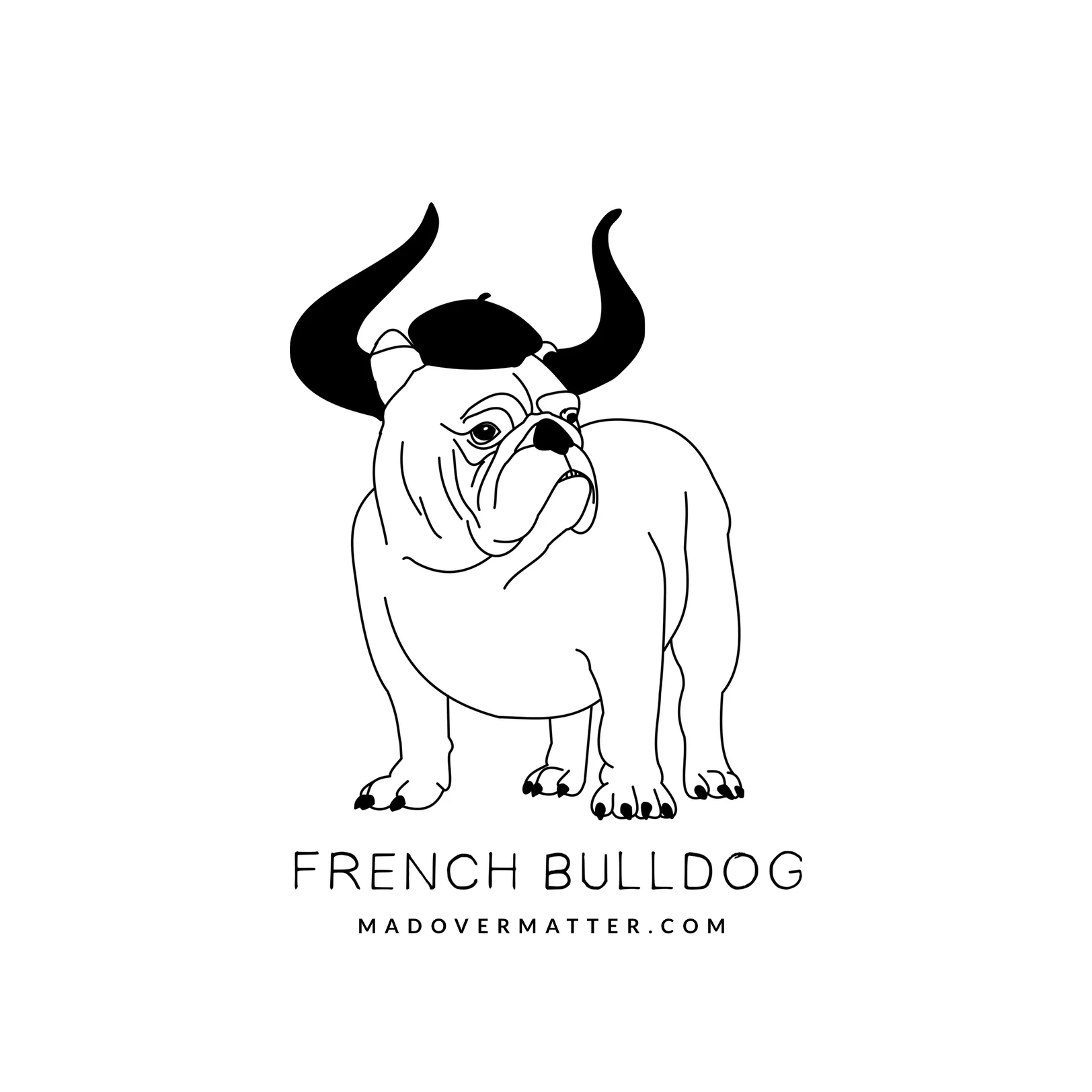 french bulldog.jpg