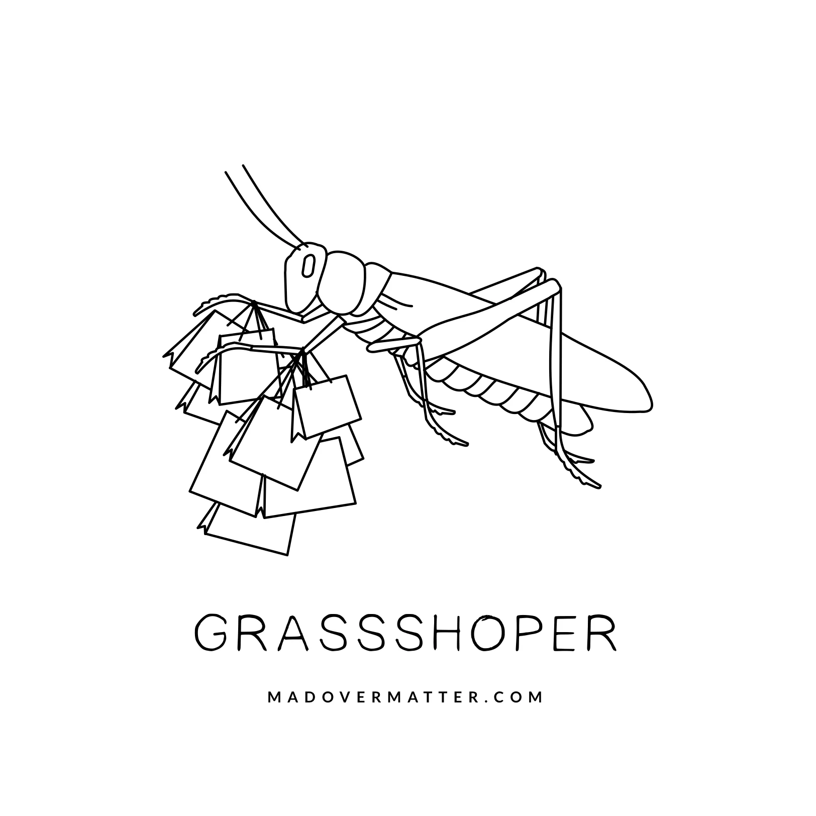 Grassshoper.jpg