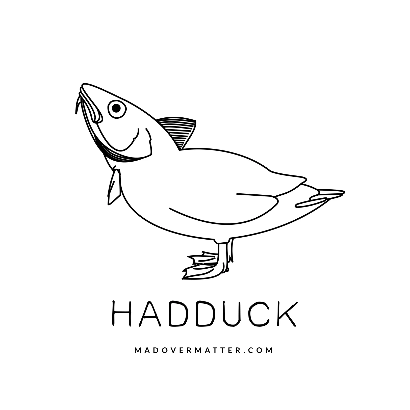 hadduck.jpg