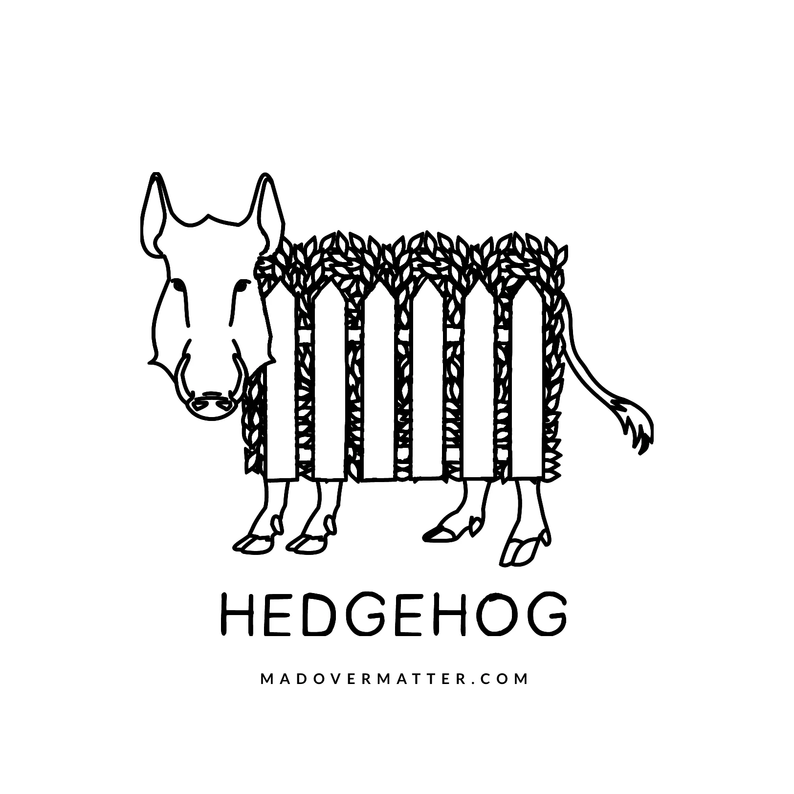 Hedgehog.jpg