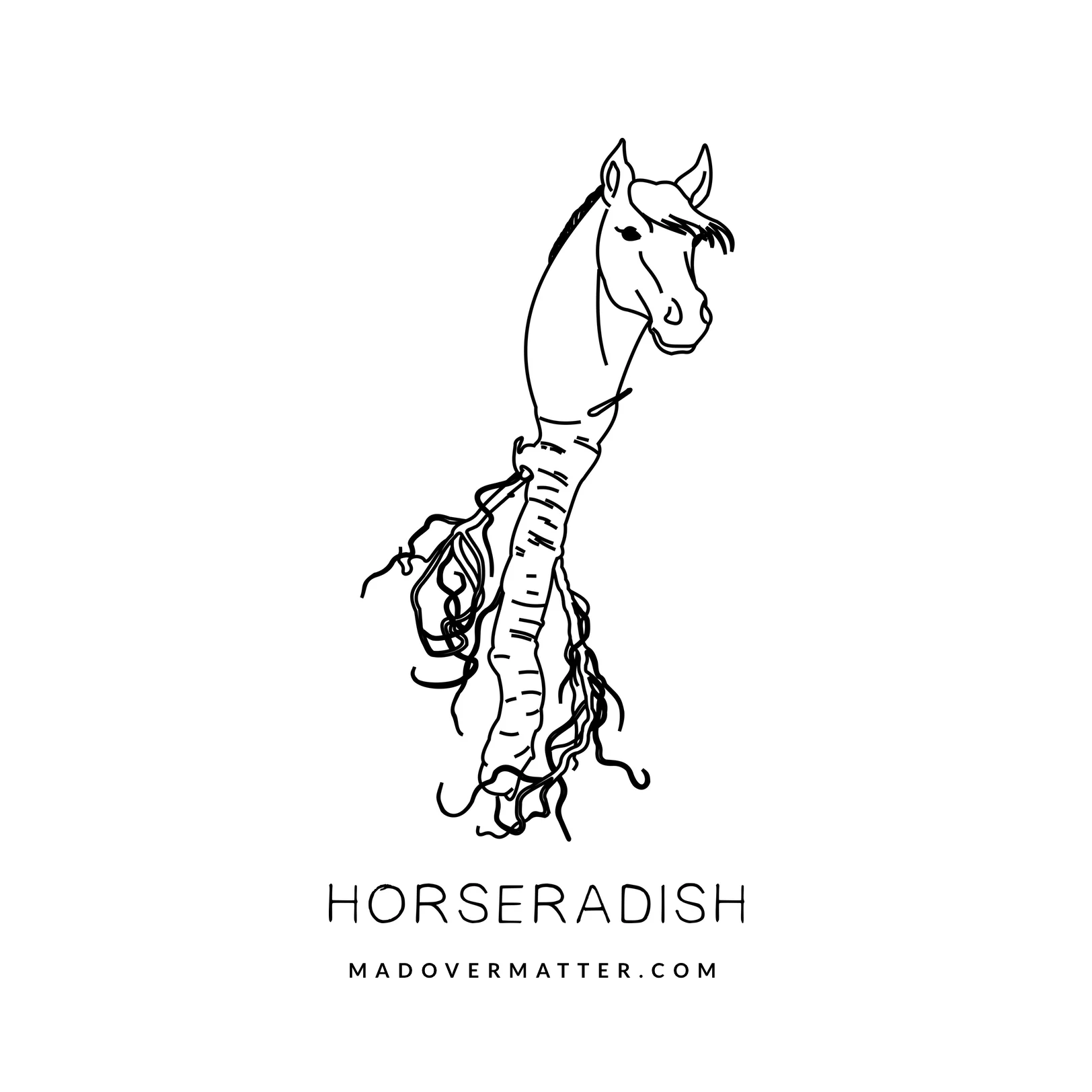 Horseradish.jpg
