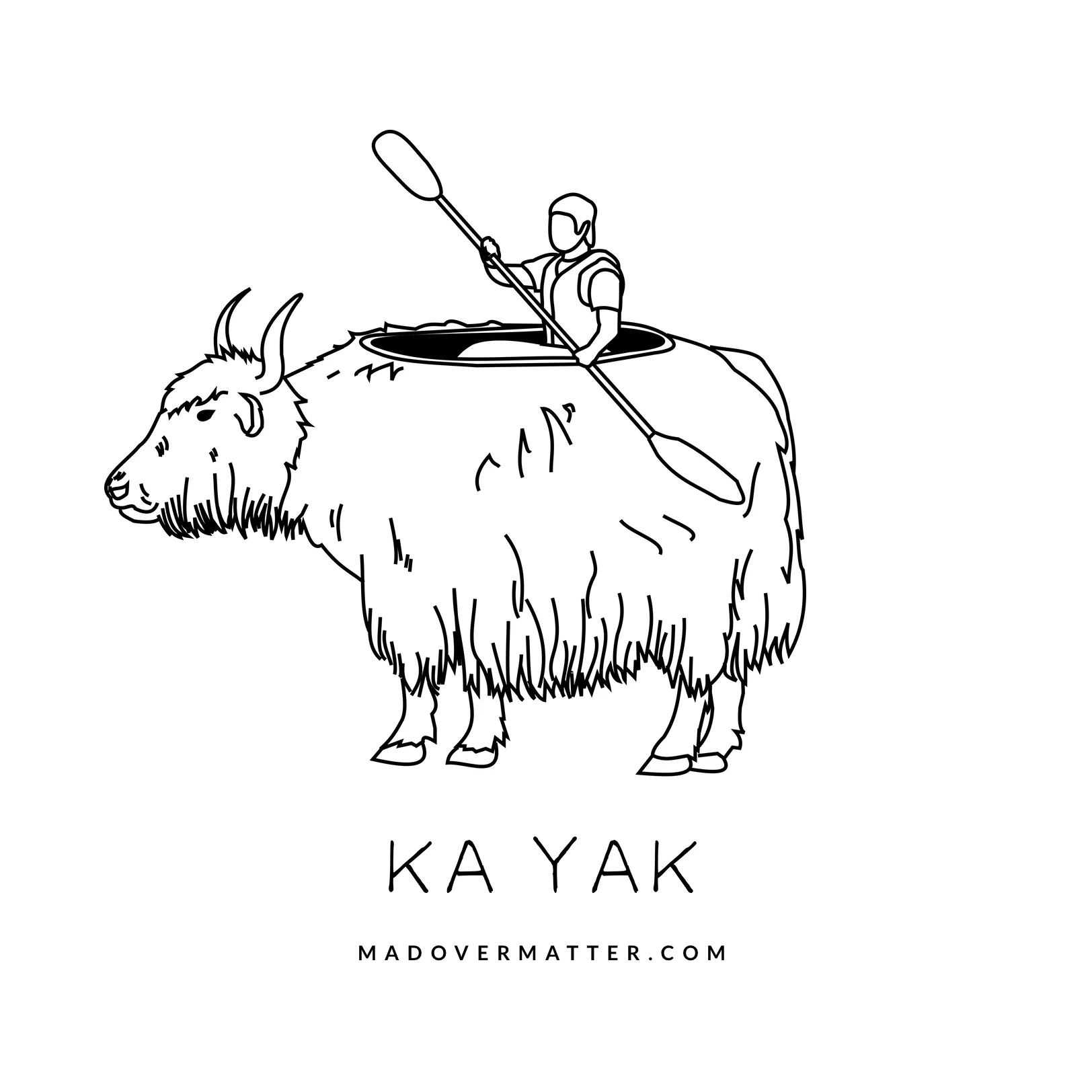 Kayak.jpg