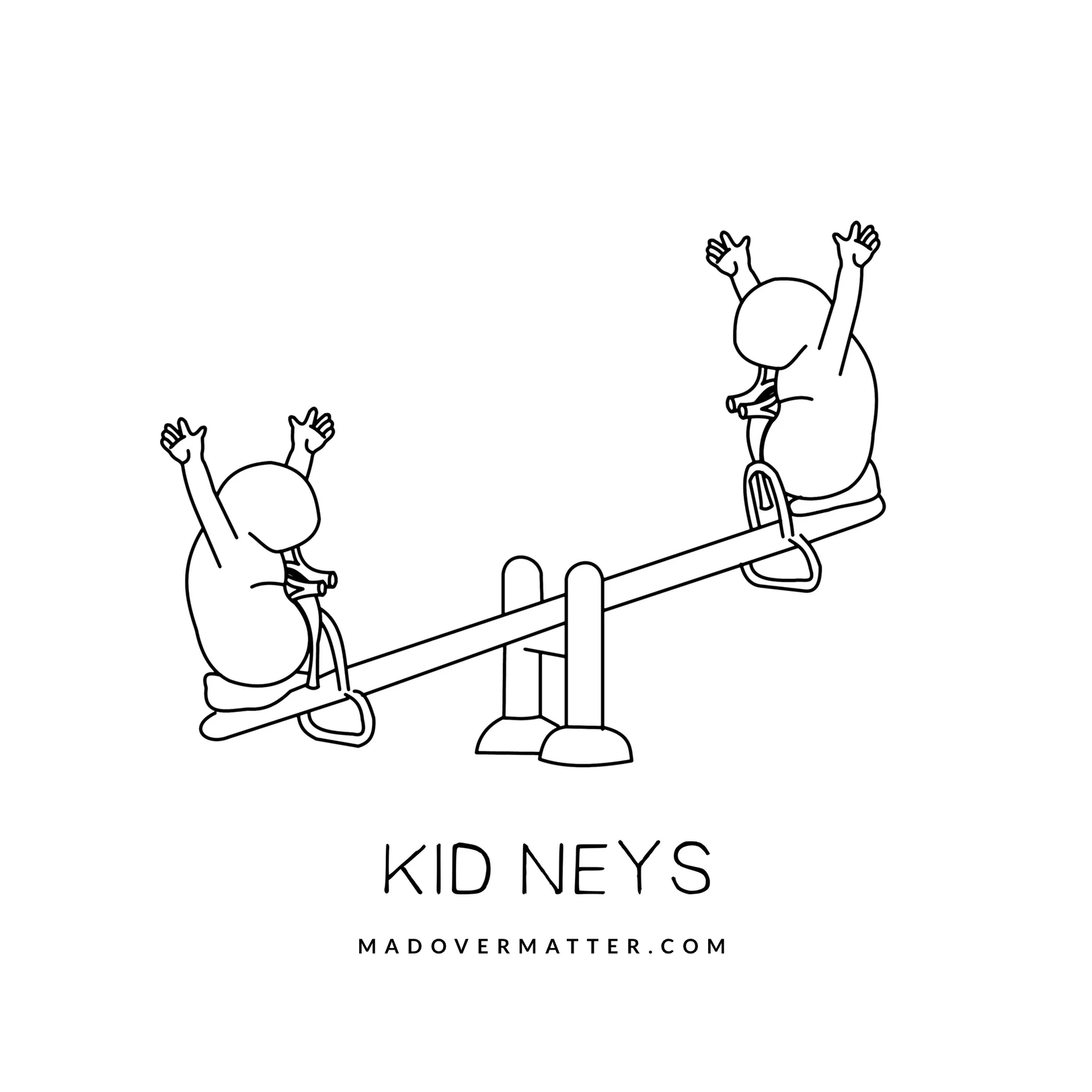 Kidneys.jpg