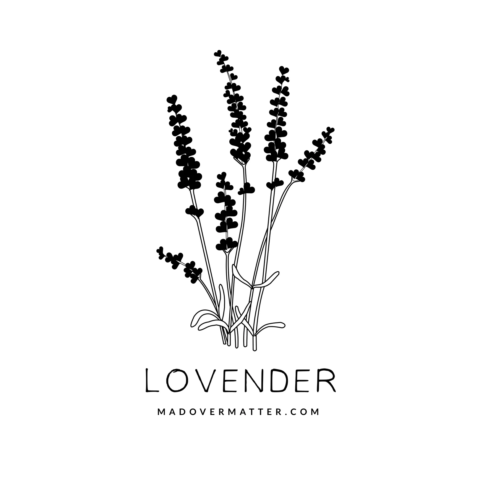 Lovender.jpg