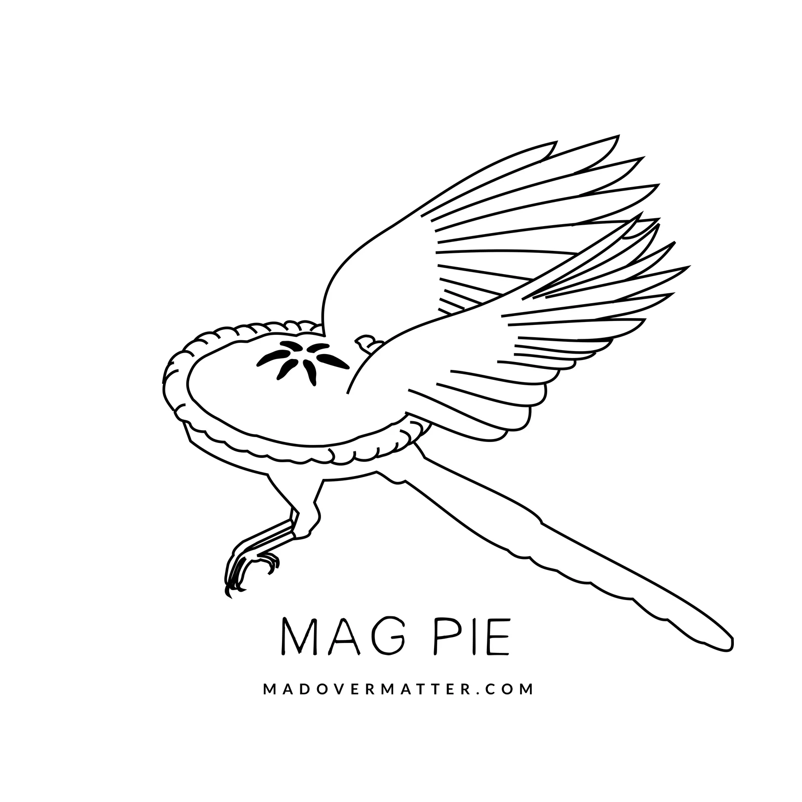 Mag pie.jpg
