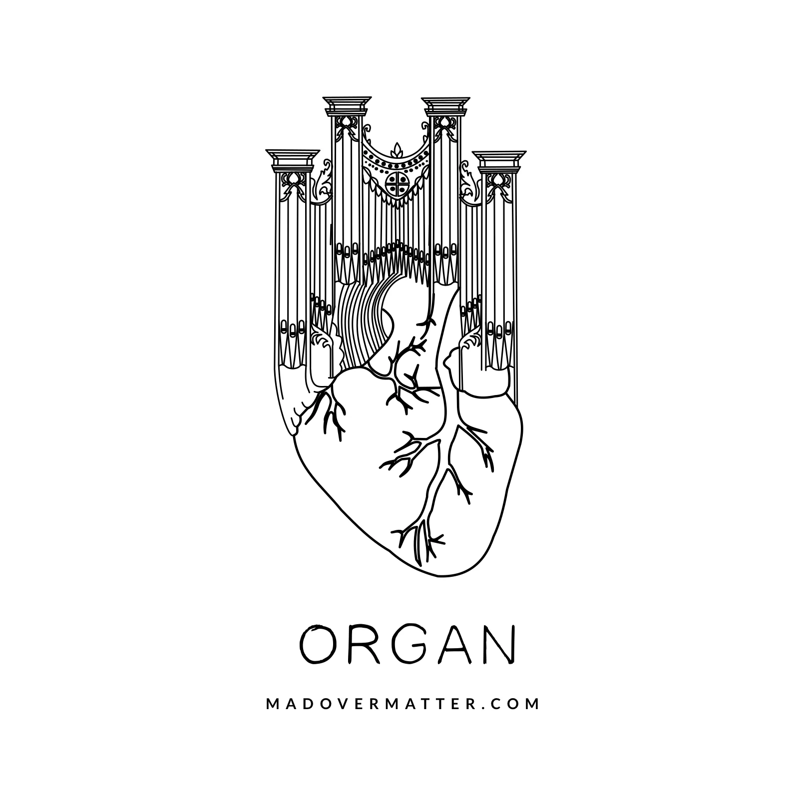 Organ.jpg