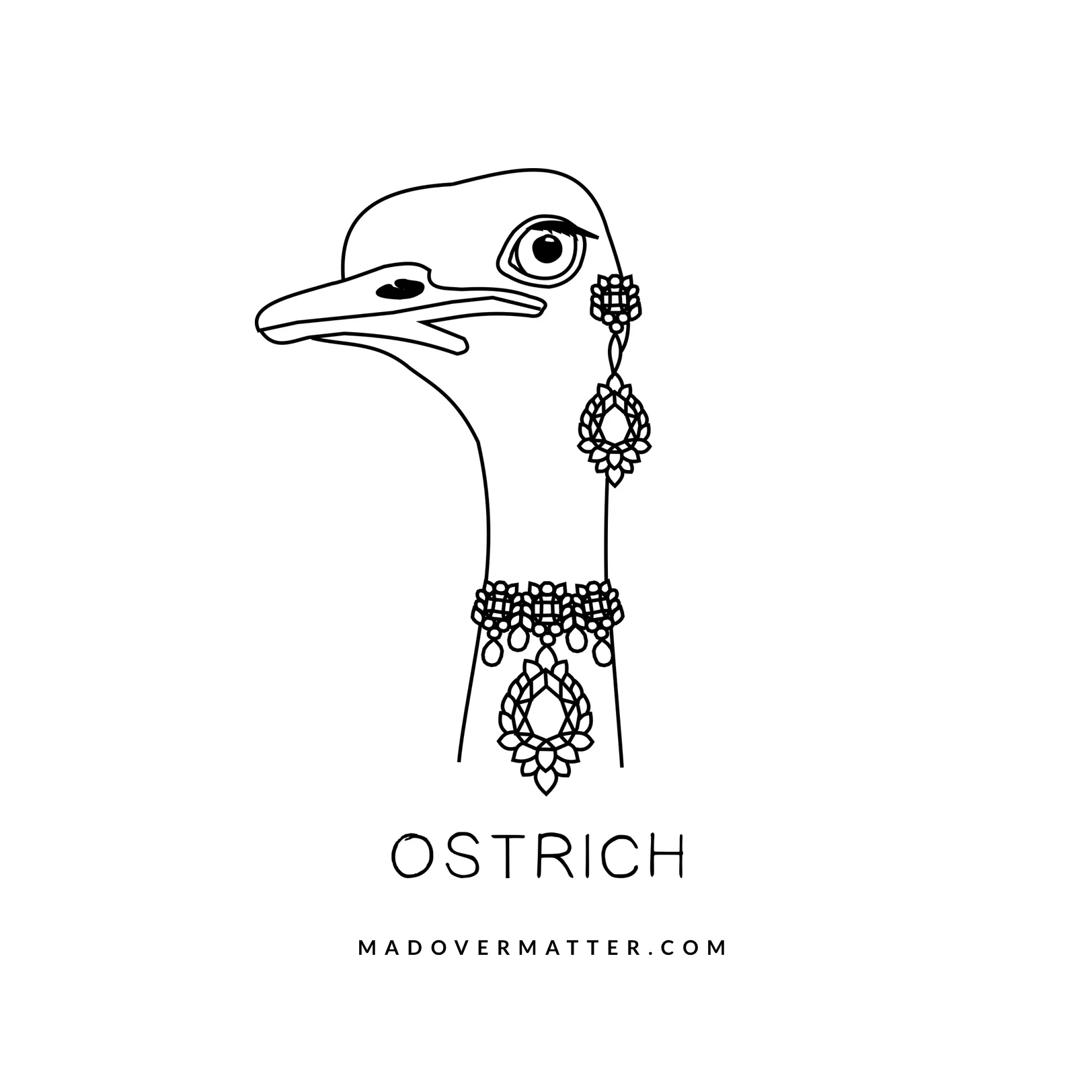 Ostrich.jpg
