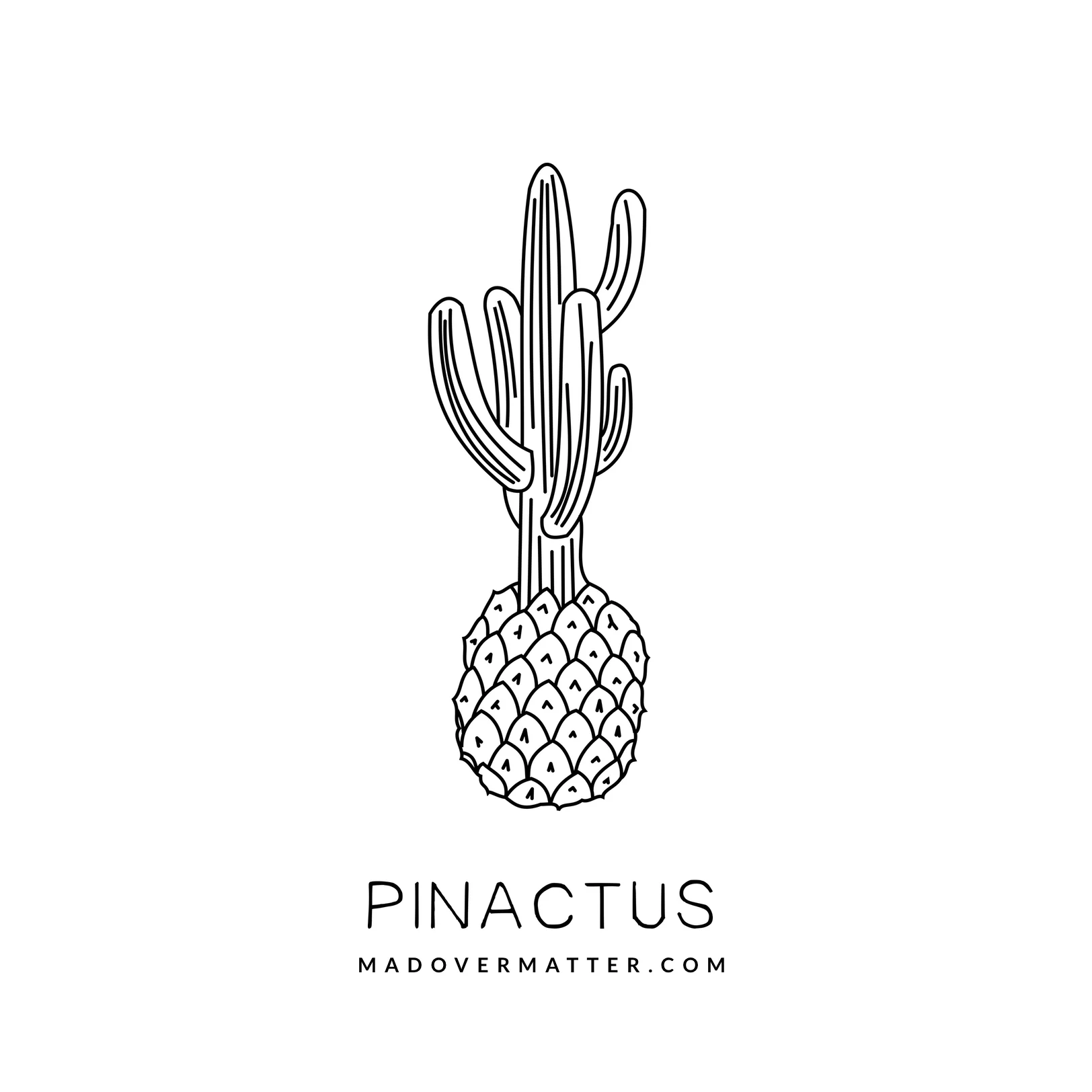Pinactus.jpg