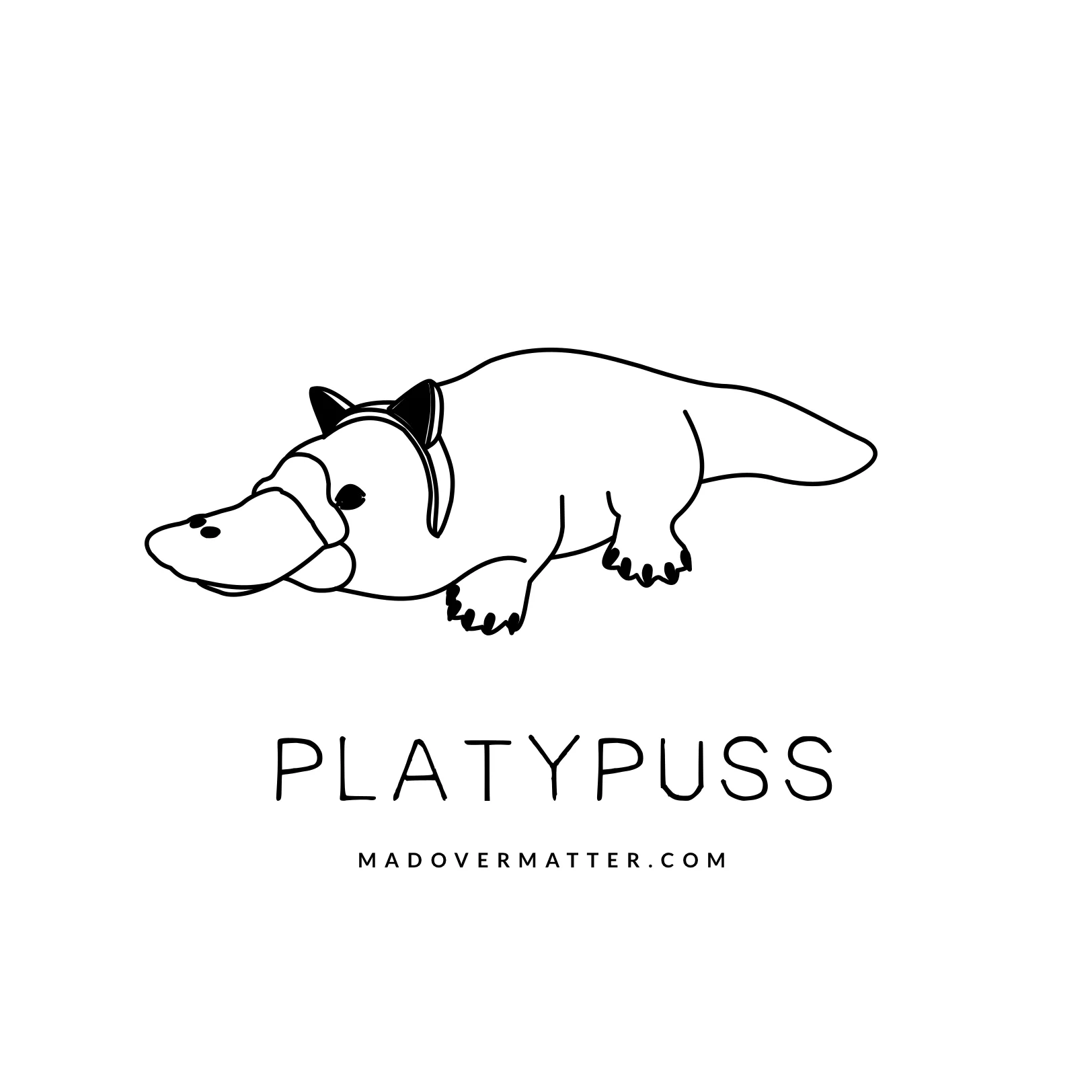 Platypuss.jpg