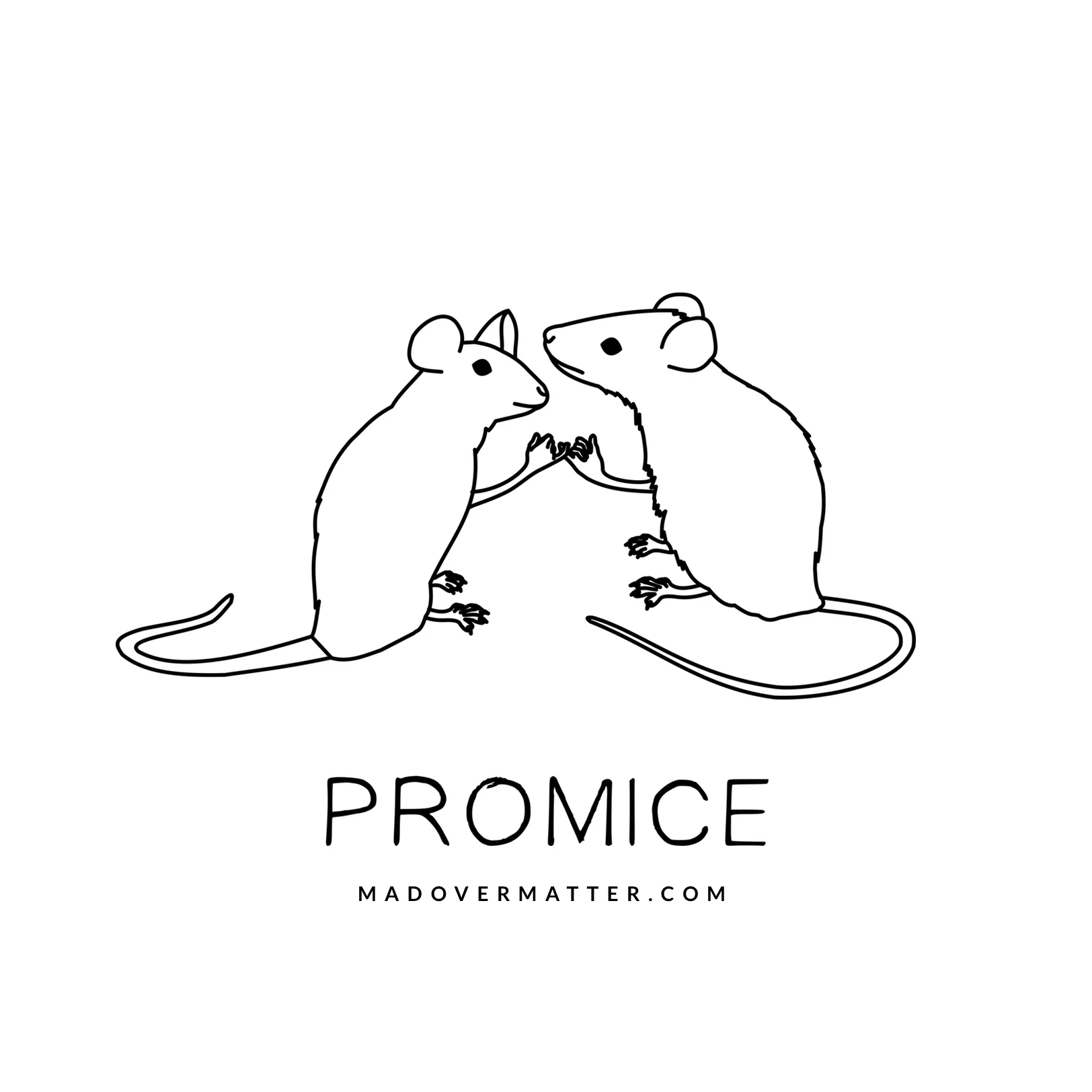 Promice.jpg